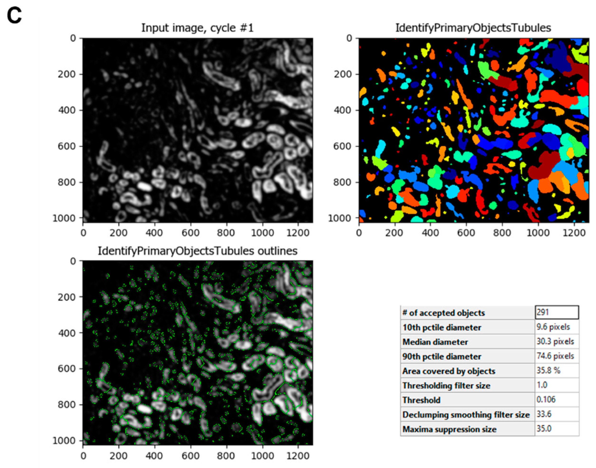 Biology 11 01227 g003b