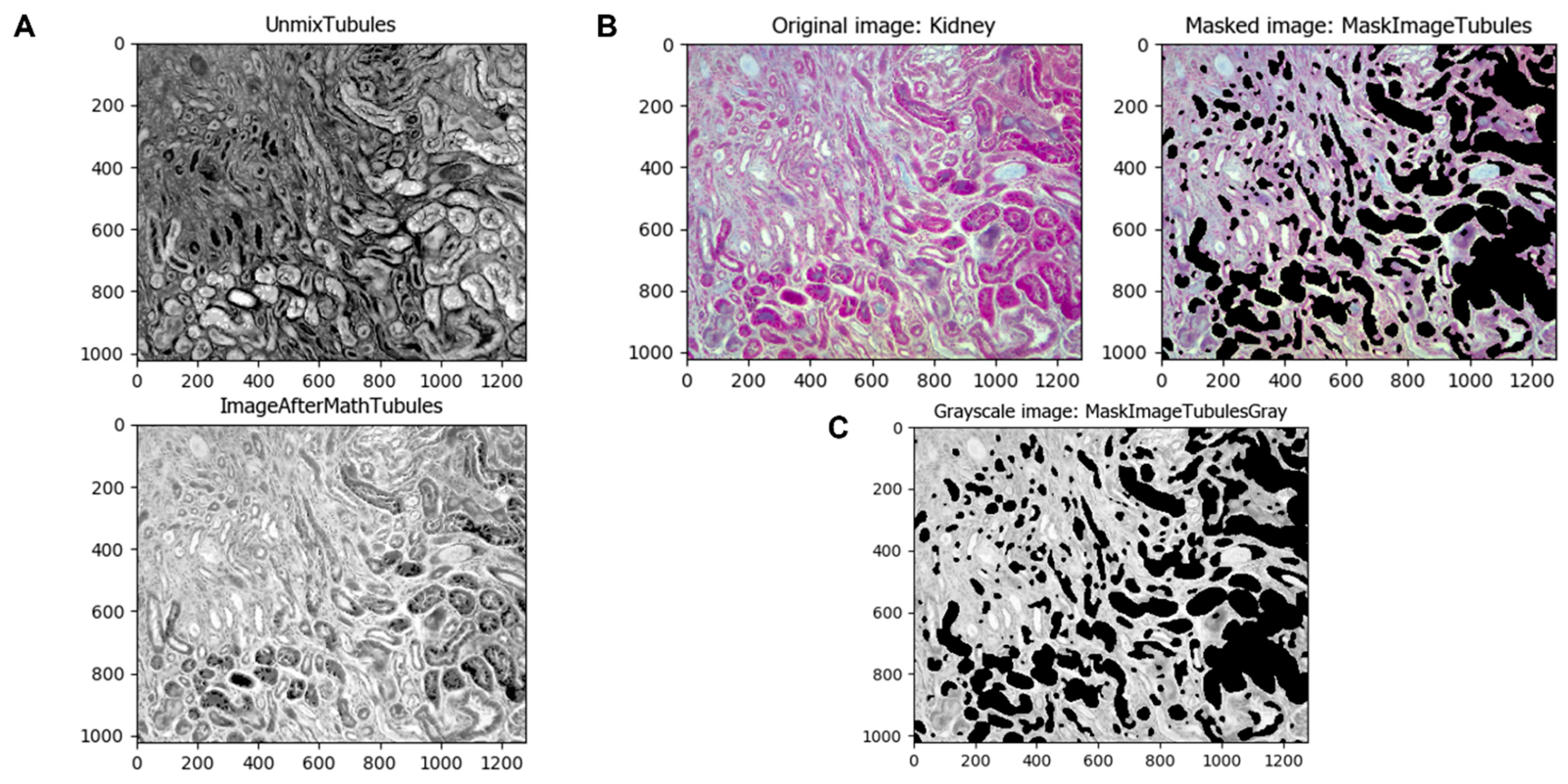 Biology 11 01227 g004