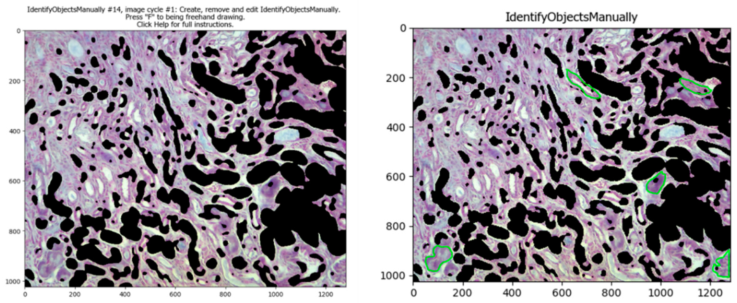 Biology 11 01227 g005