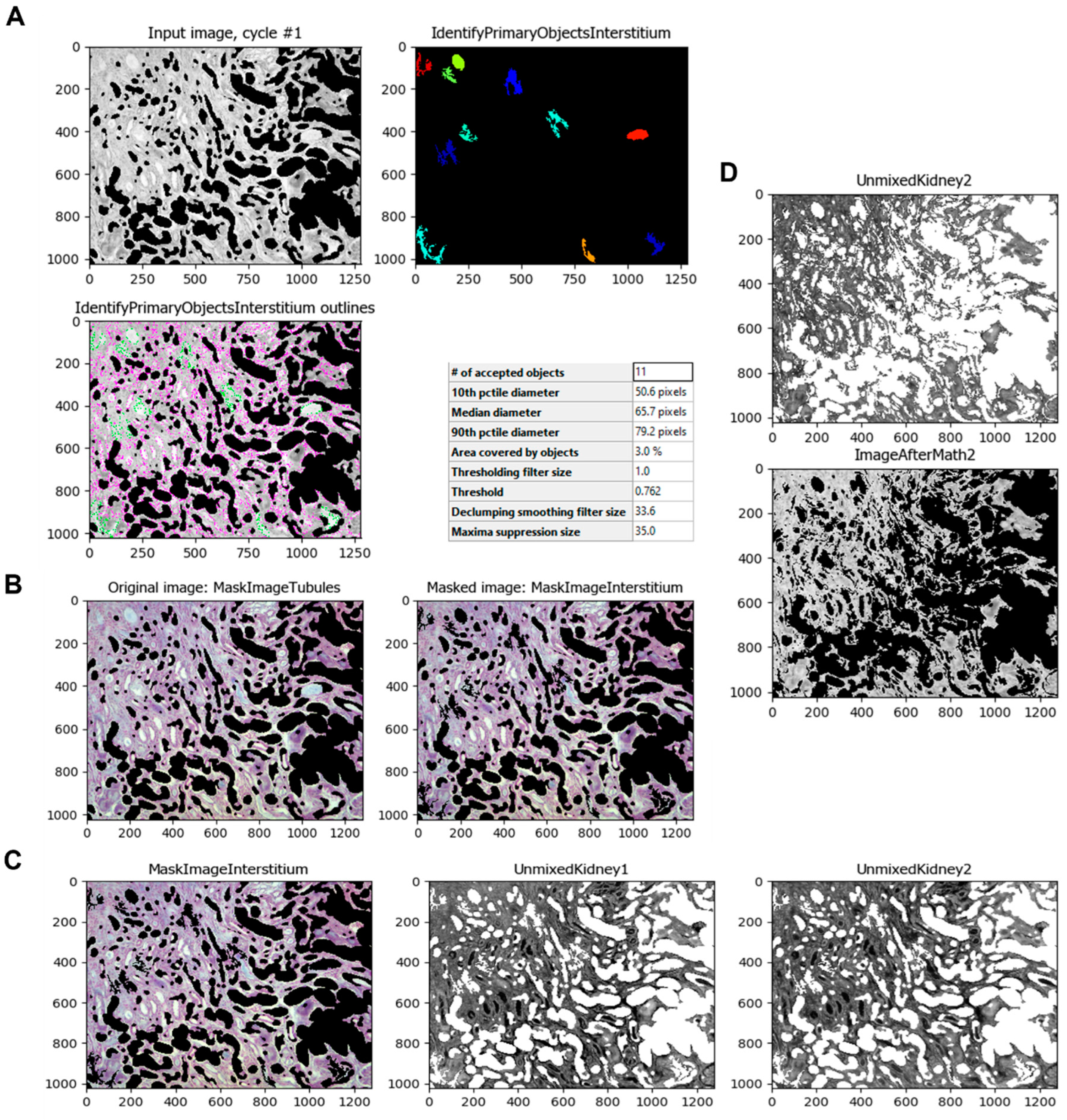 Biology 11 01227 g006
