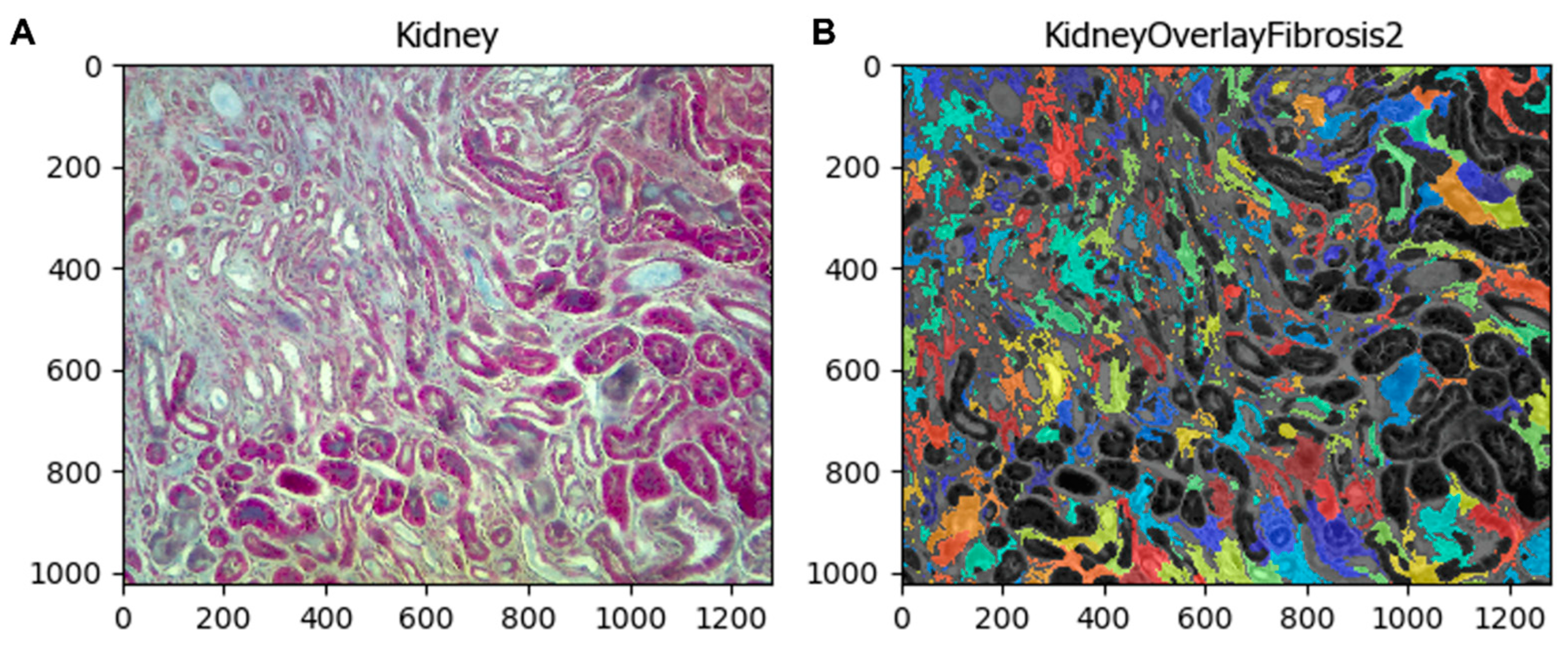 Biology 11 01227 g008