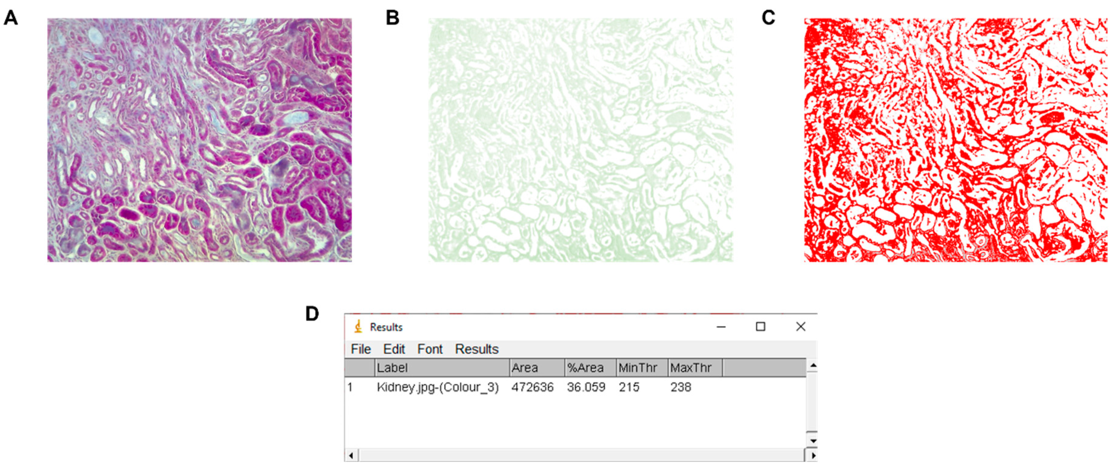 Biology 11 01227 g009
