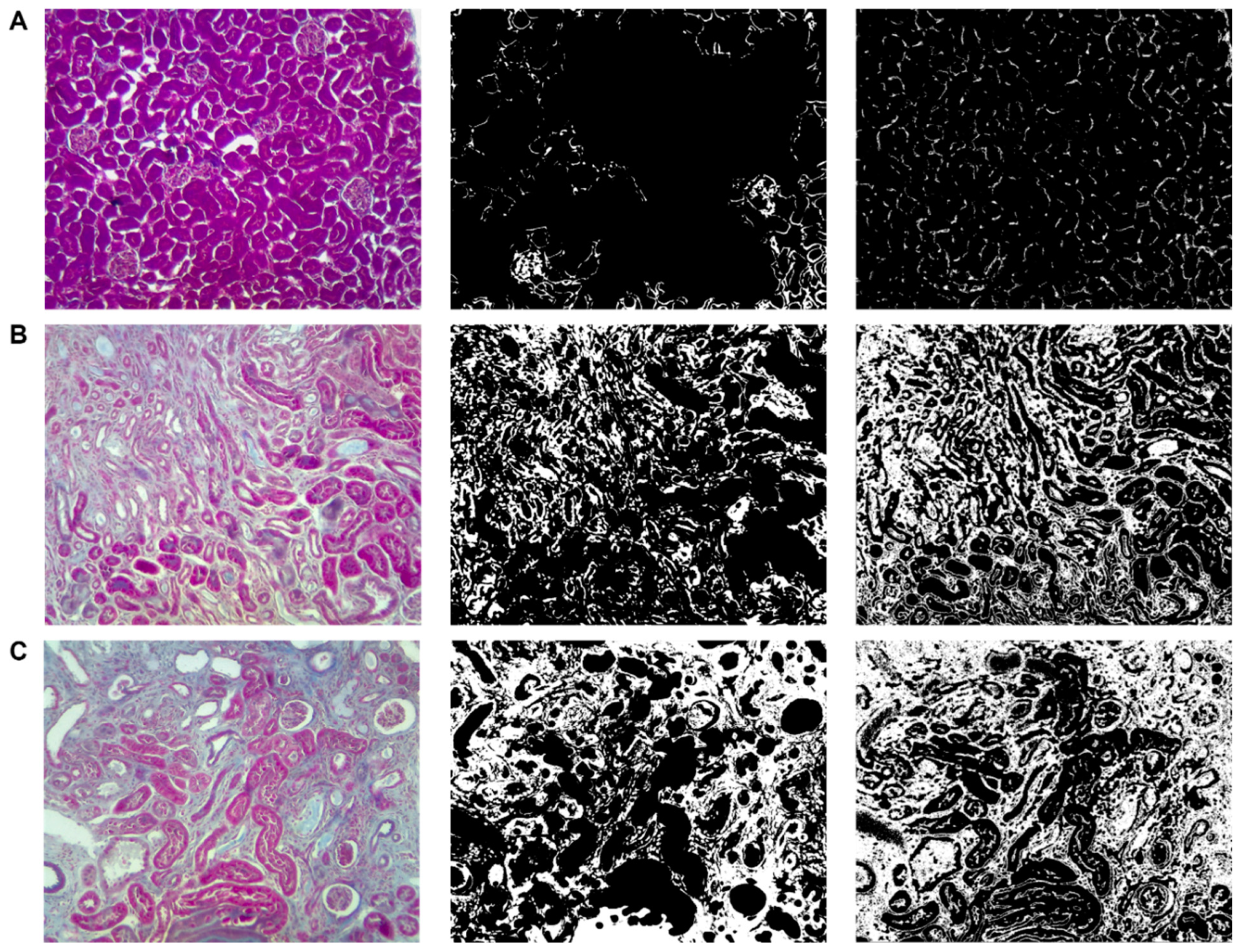 Biology 11 01227 g010
