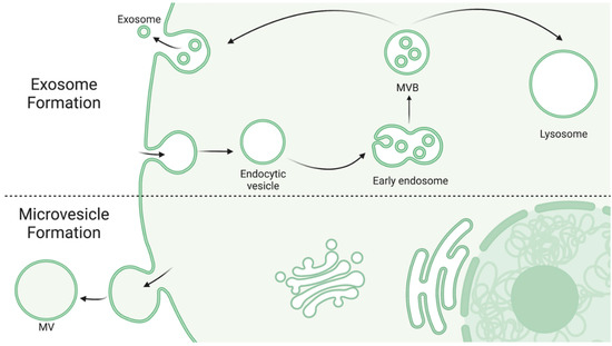 Biology 11 01231 g001 550