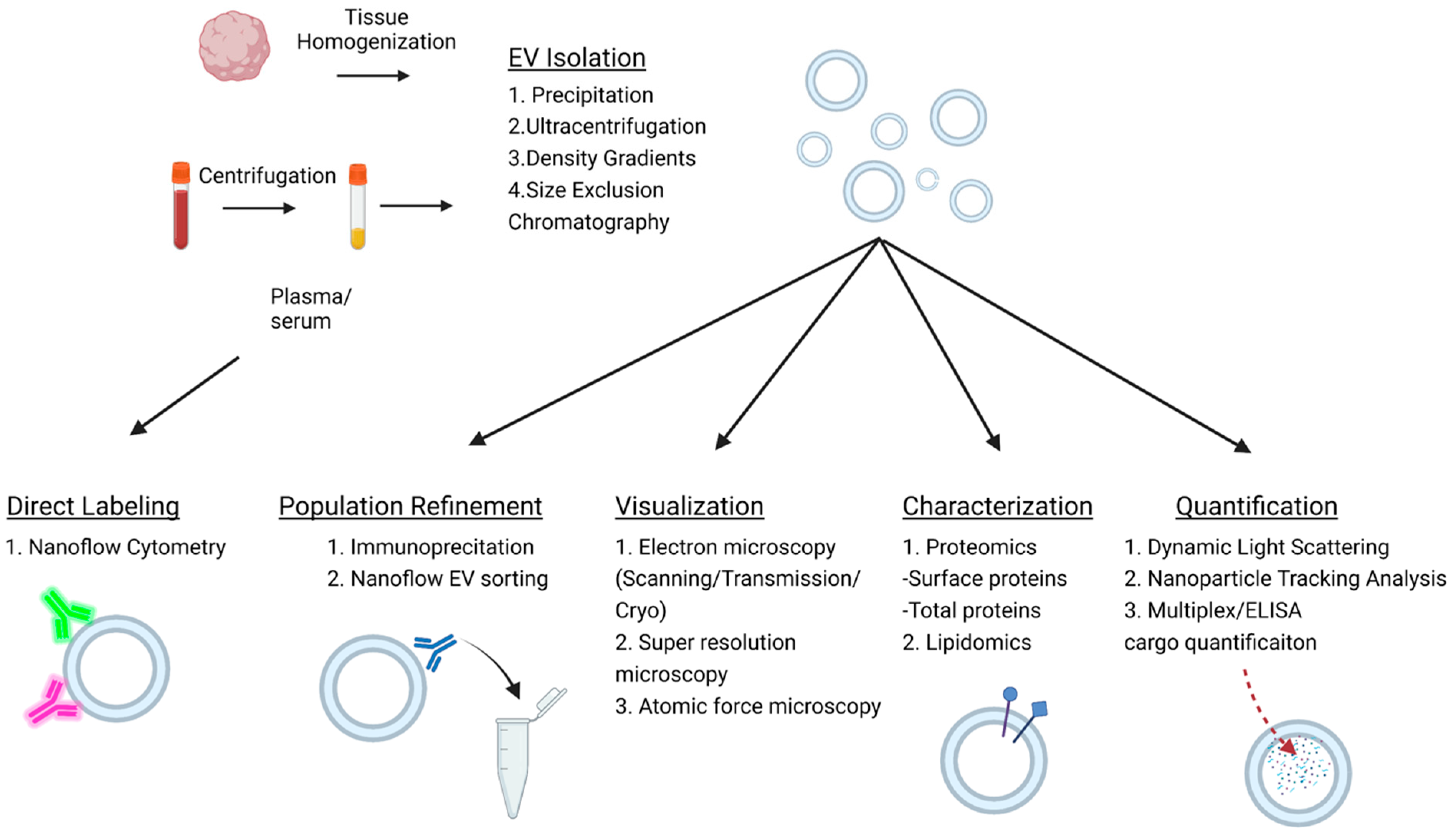 Biology 11 01231 g002