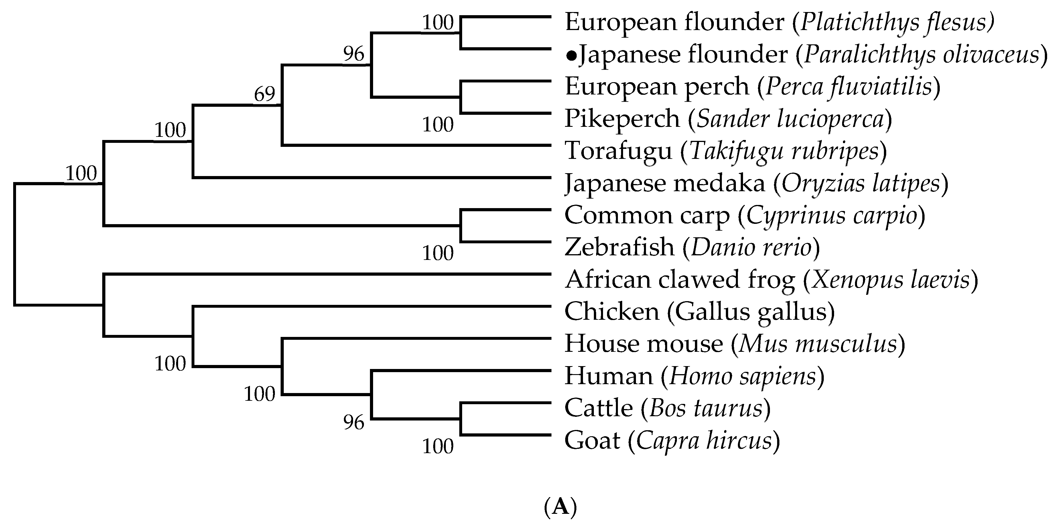 Biology 11 01233 g006a