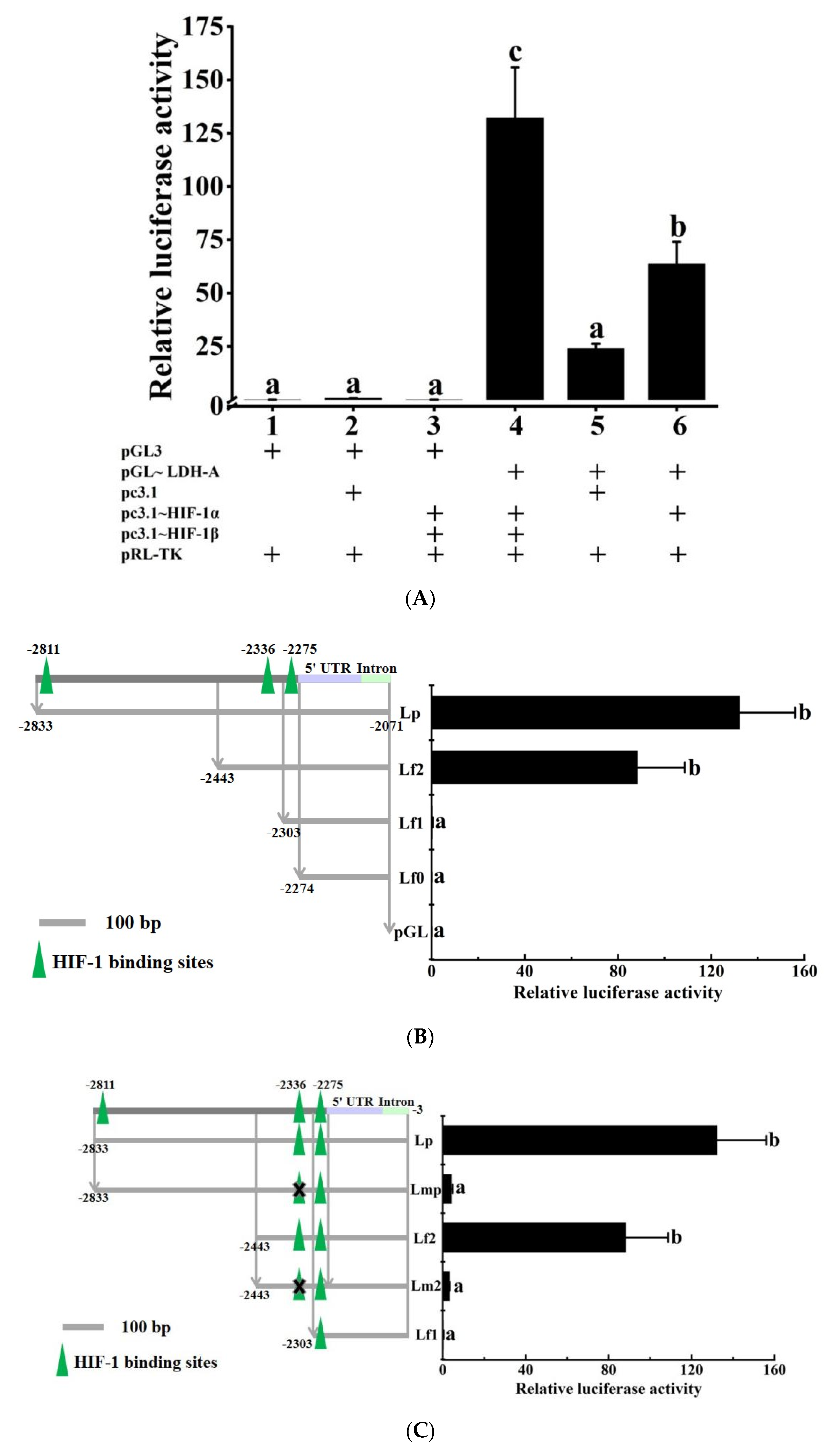 Biology 11 01233 g009