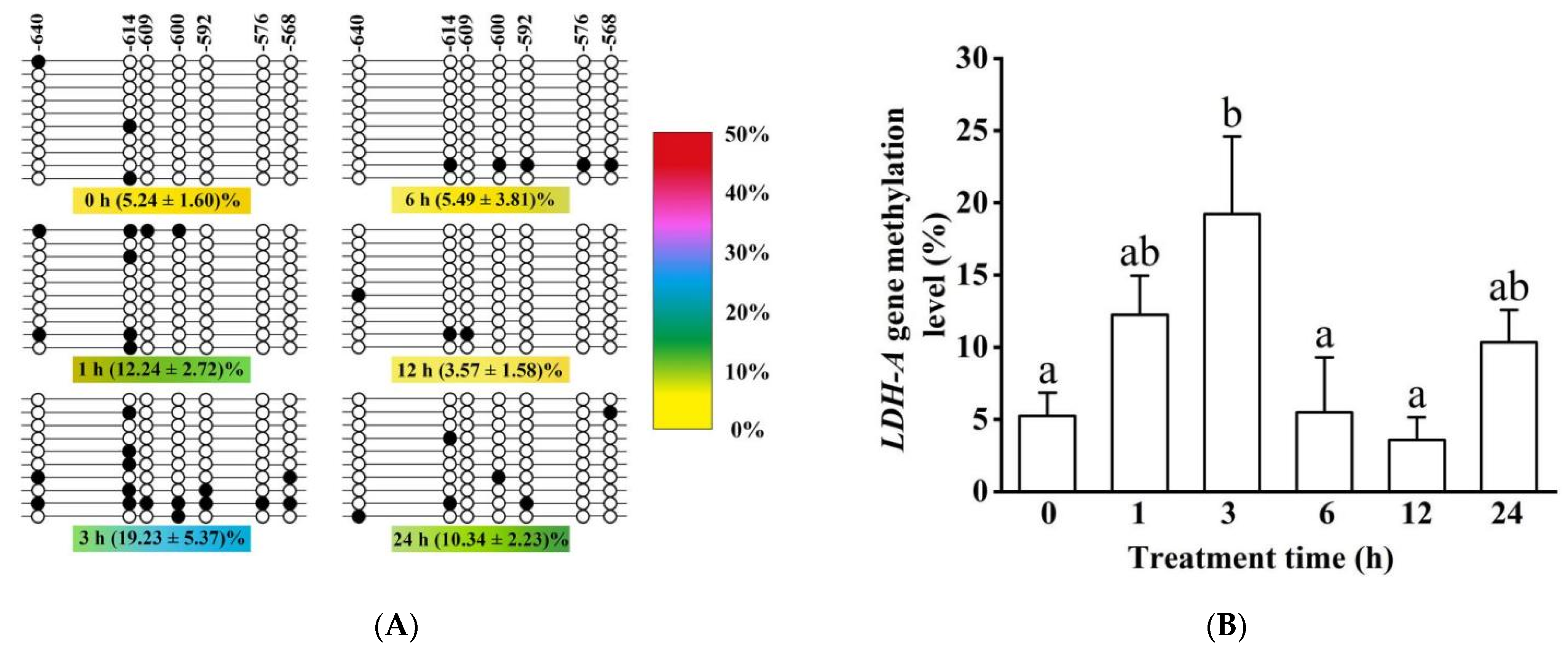 Biology 11 01233 g012