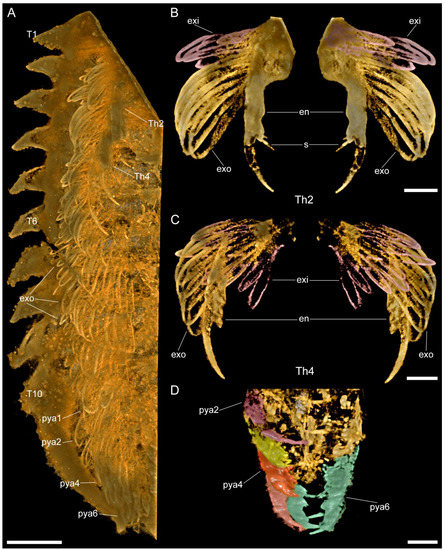 Biology 11 01235 g003 550
