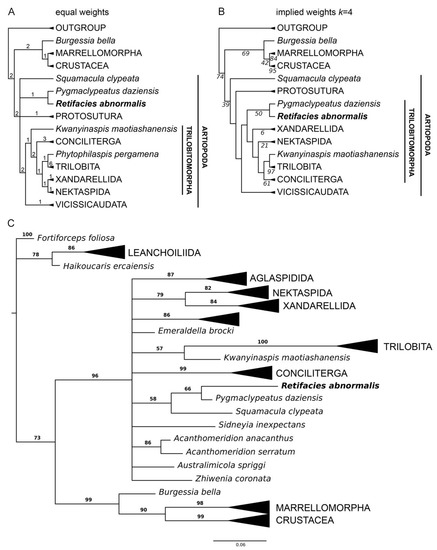 Biology 11 01235 g007 550