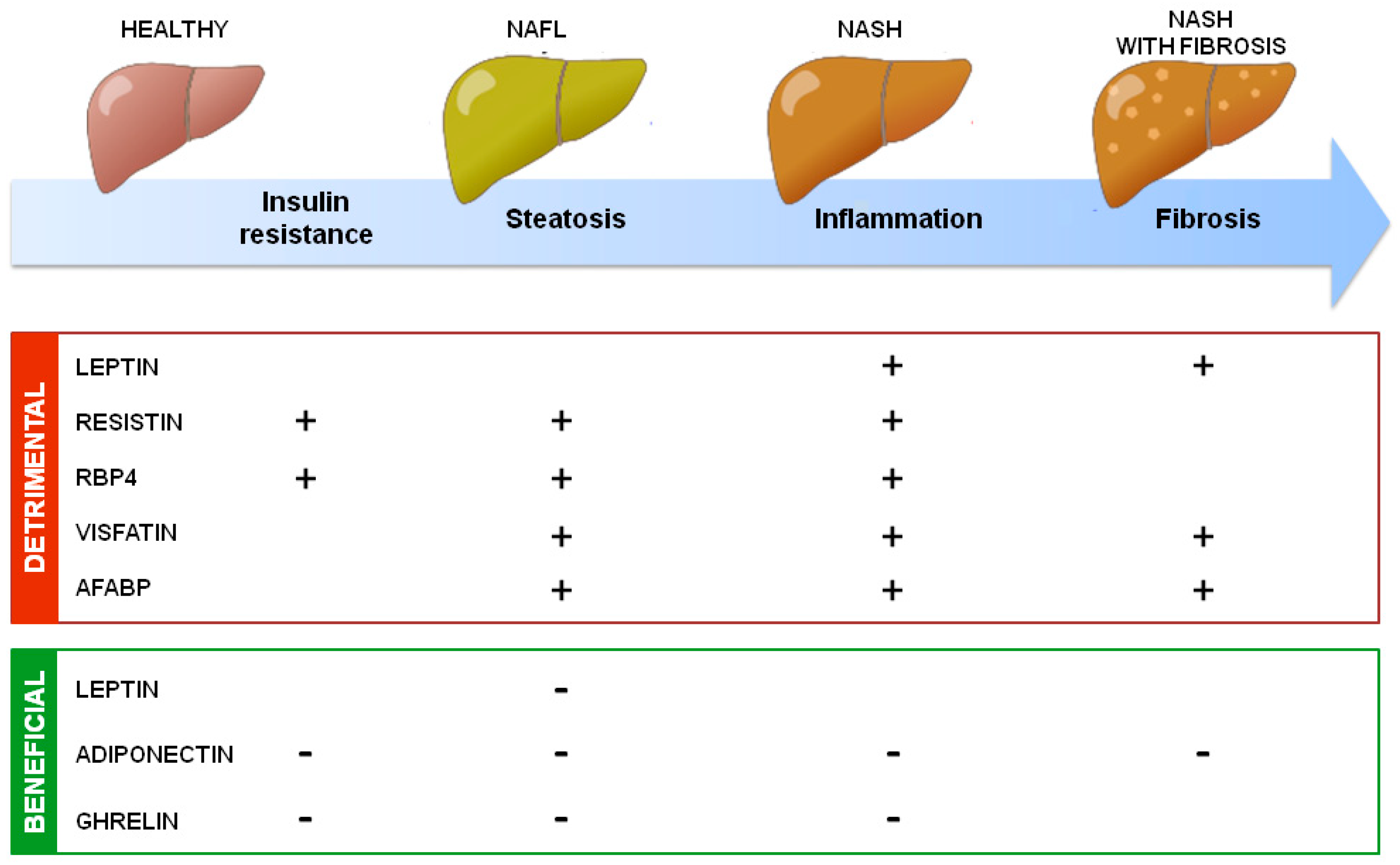 Biology 11 01237 g002