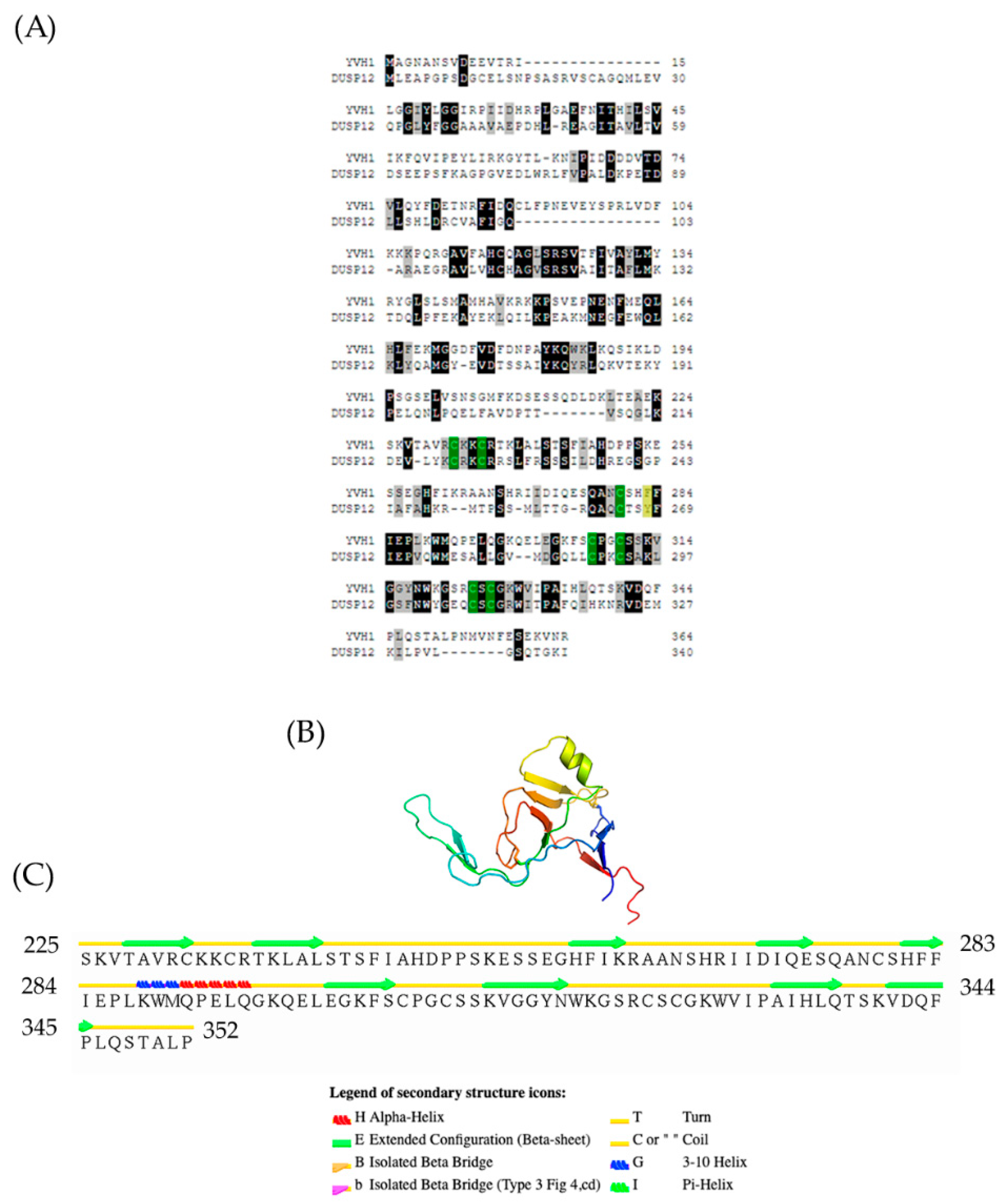 Biology 11 01246 g001