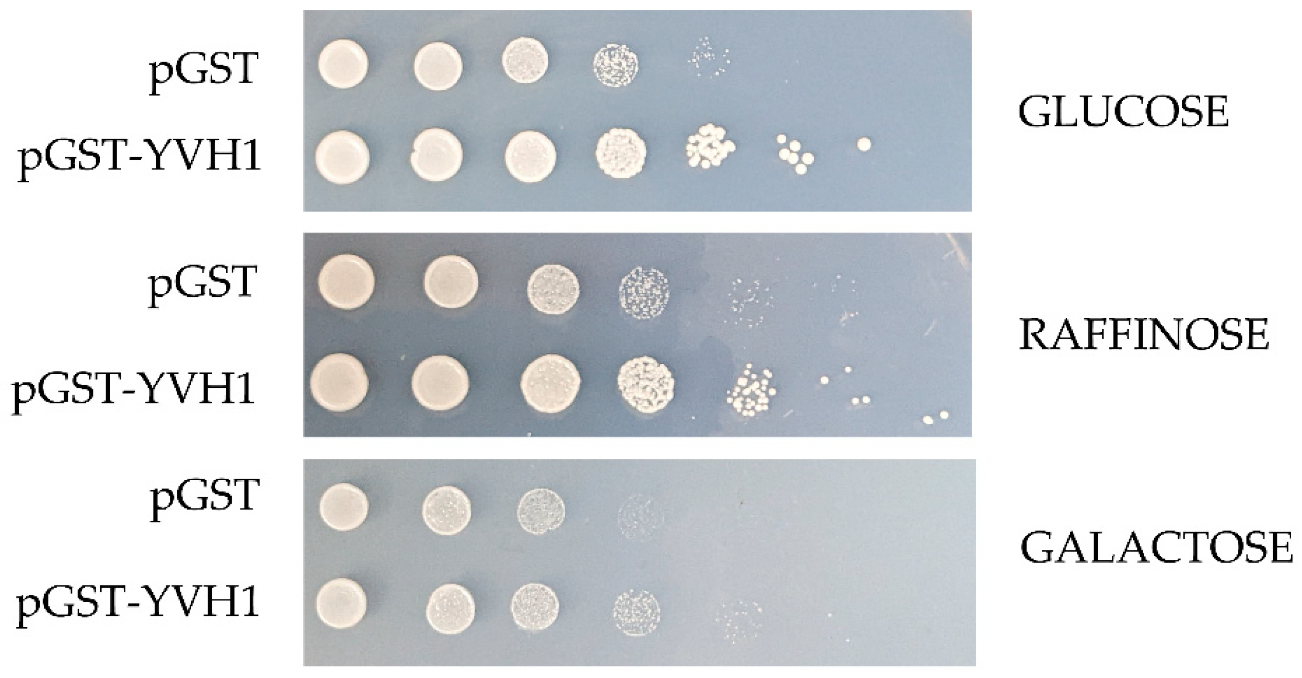 Biology 11 01246 g002