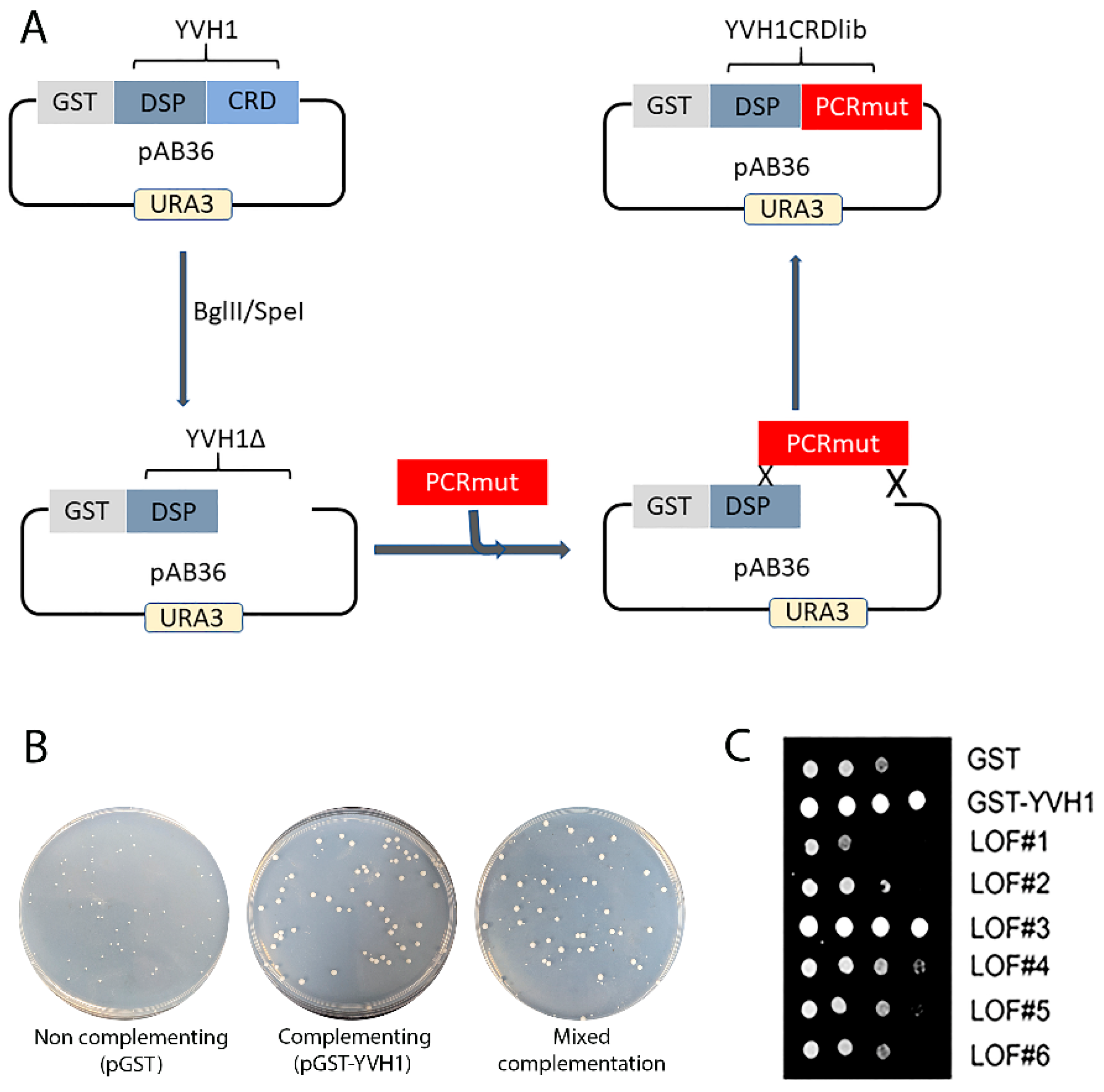 Biology 11 01246 g003
