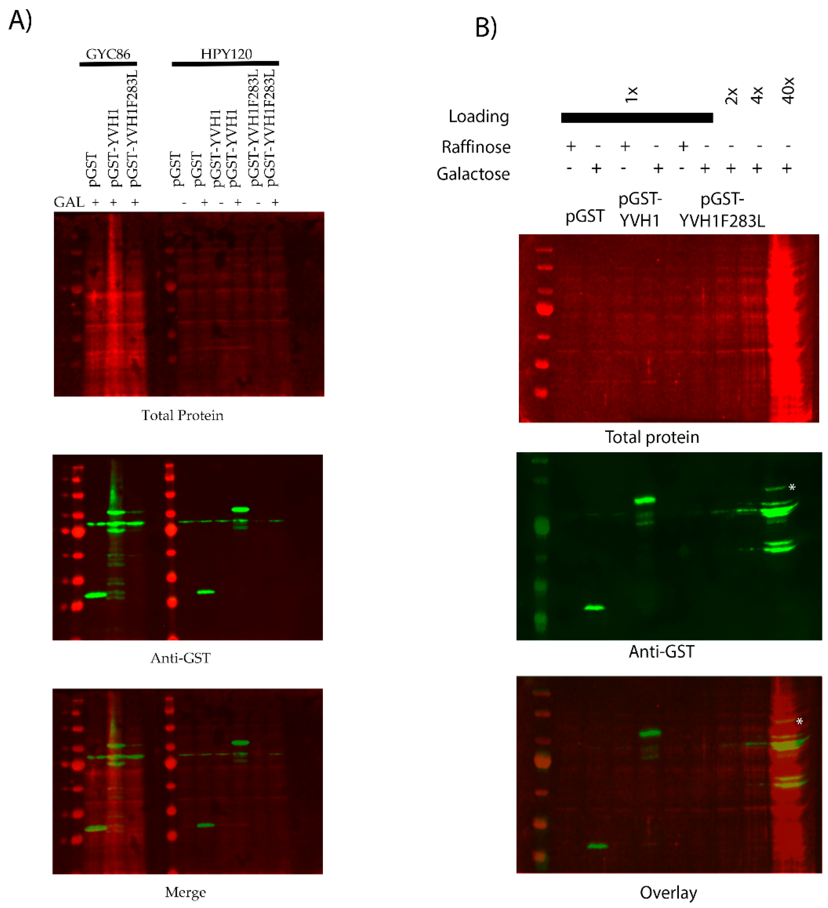 Biology 11 01246 g005