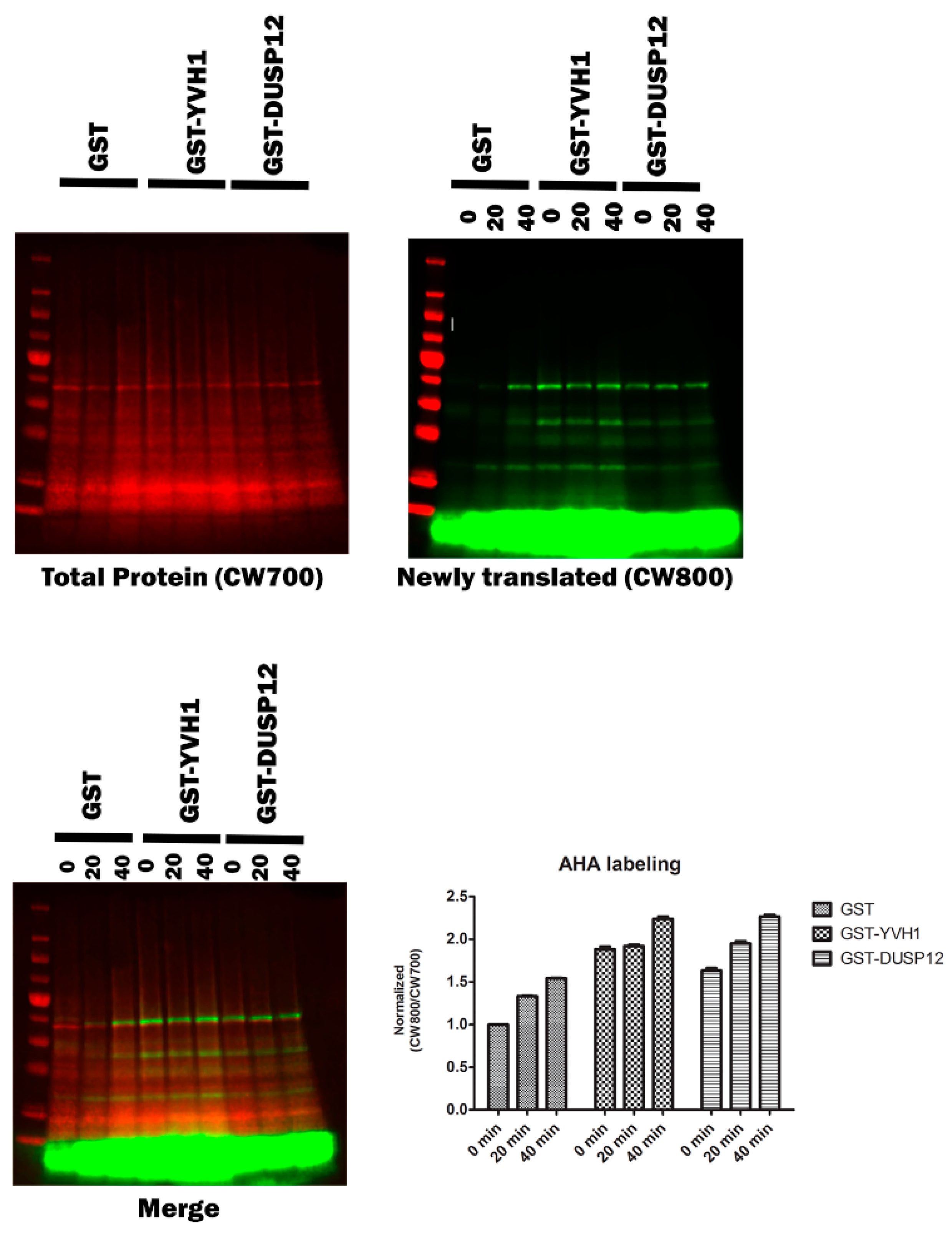 Biology 11 01246 g006