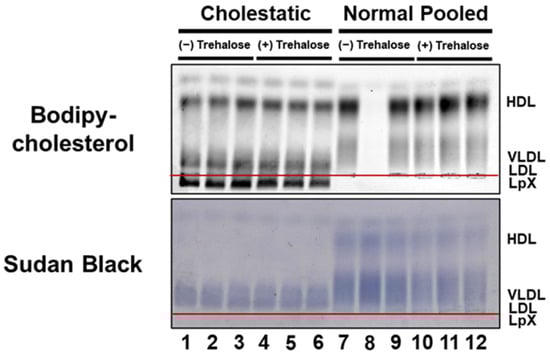 Biology 11 01248 g002