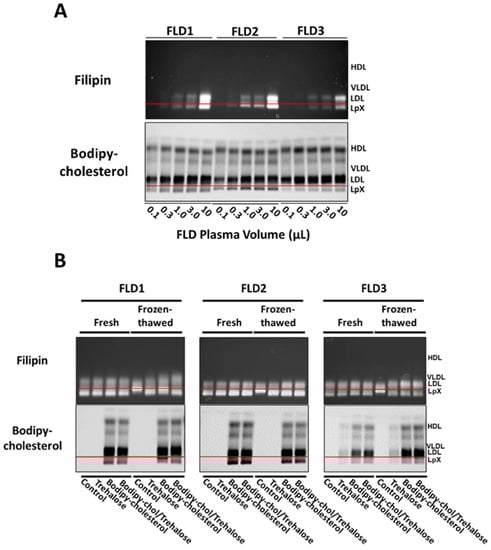 Biology 11 01248 g005