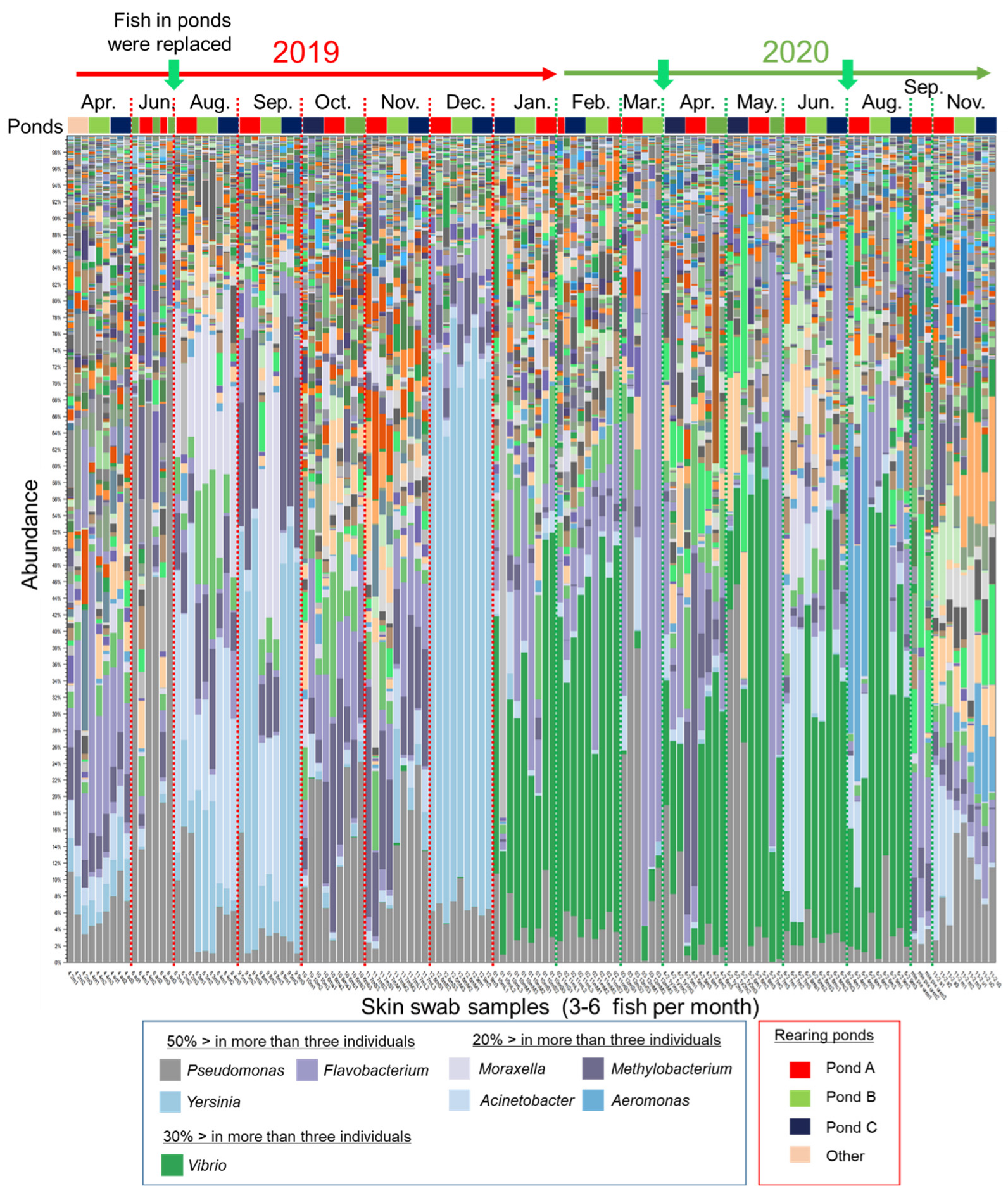 Biology 11 01249 g001