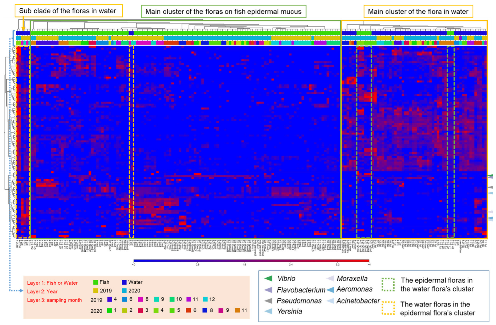Biology 11 01249 g002