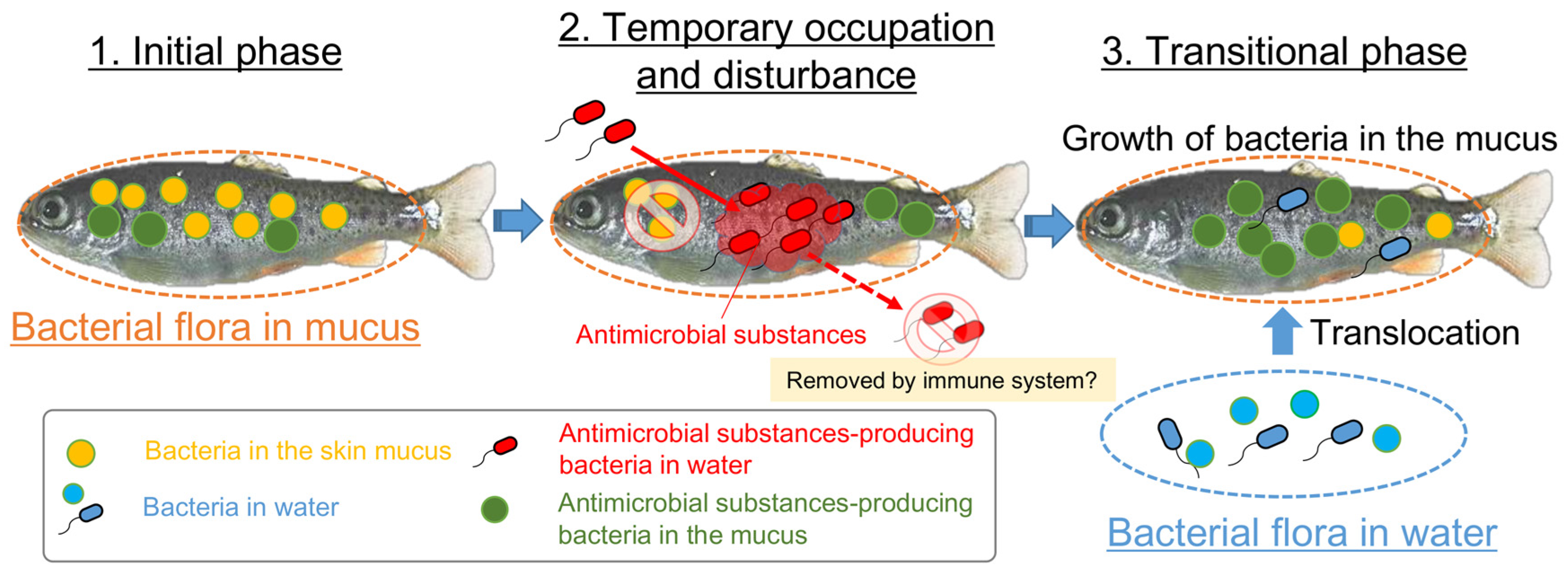 Biology 11 01249 g008