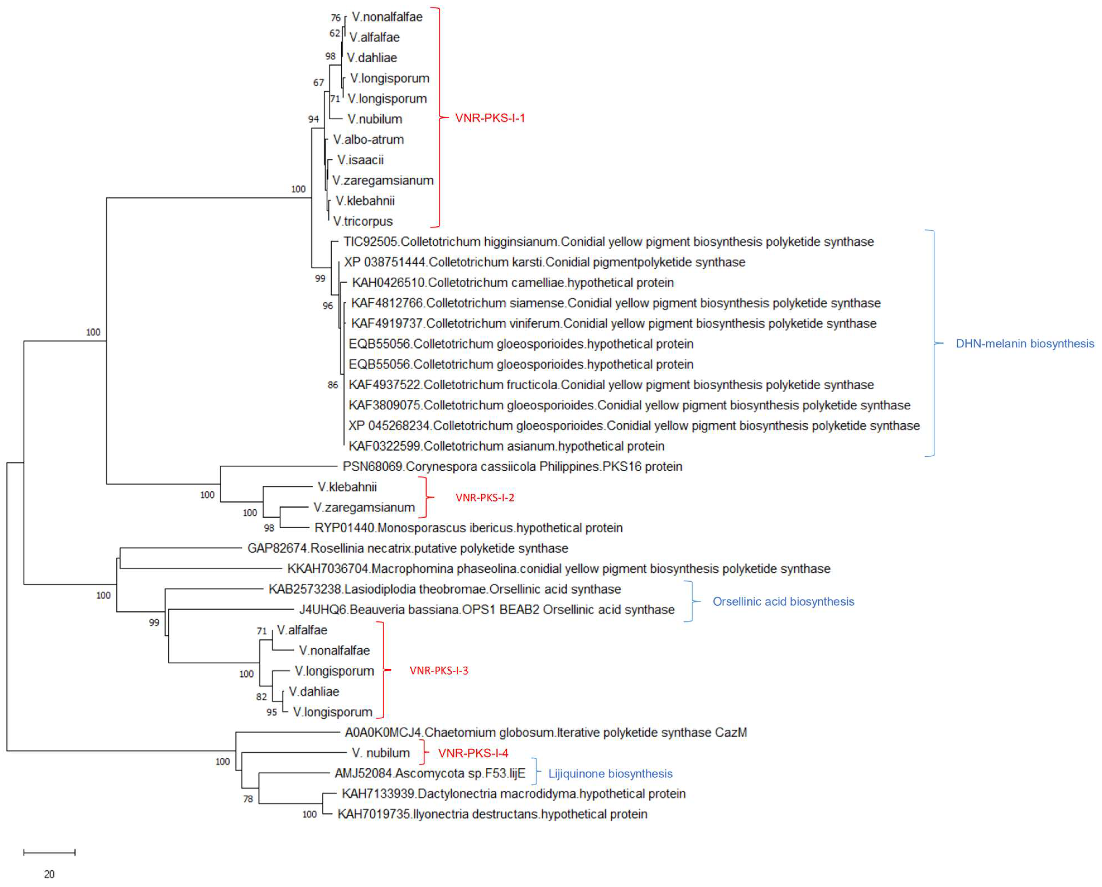 Biology 11 01252 g002