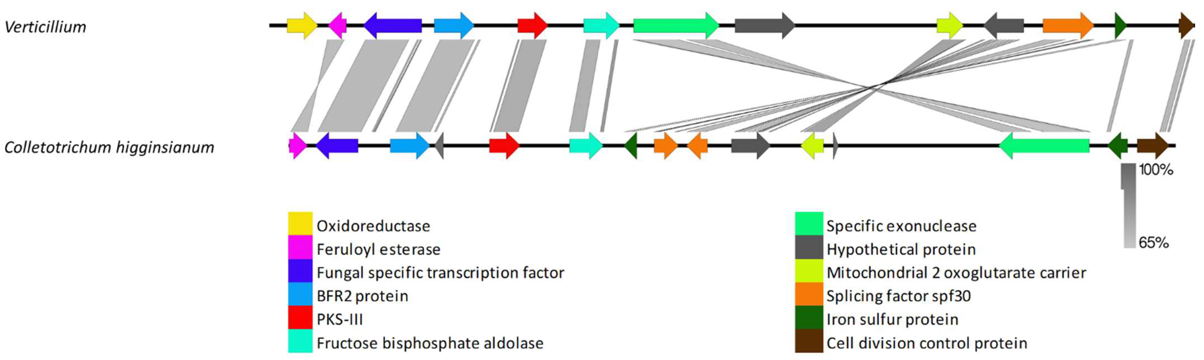 Biology 11 01252 g005