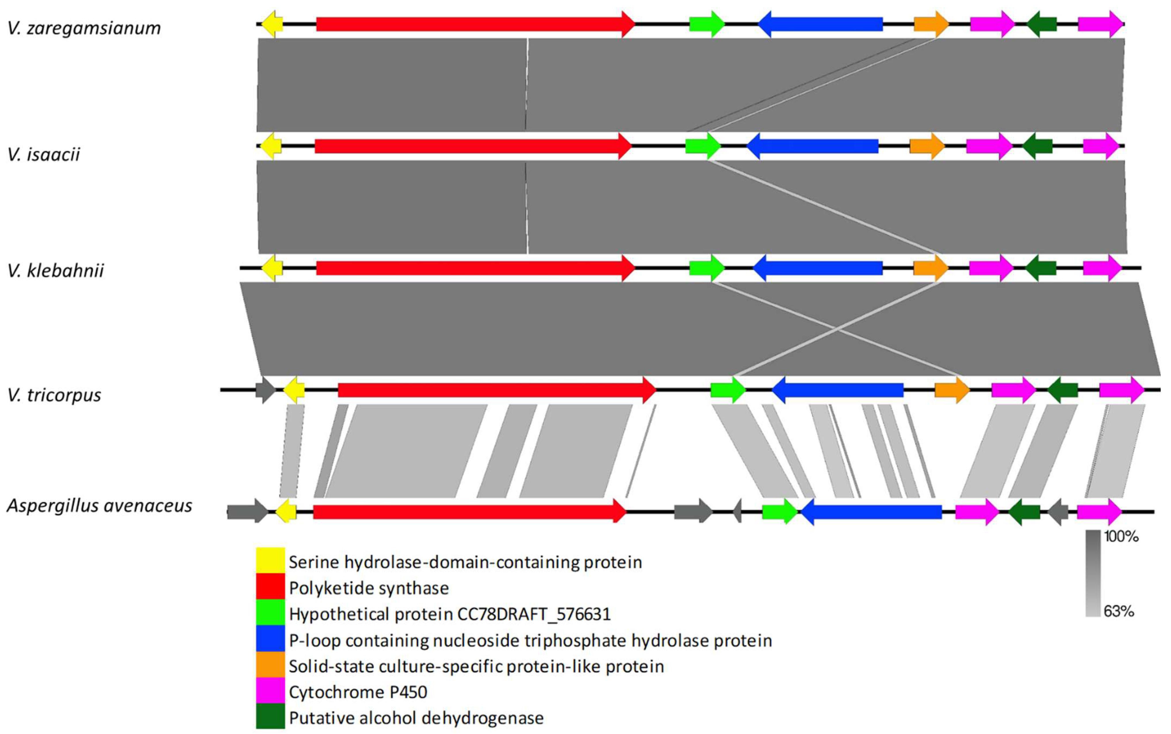 Biology 11 01252 g008