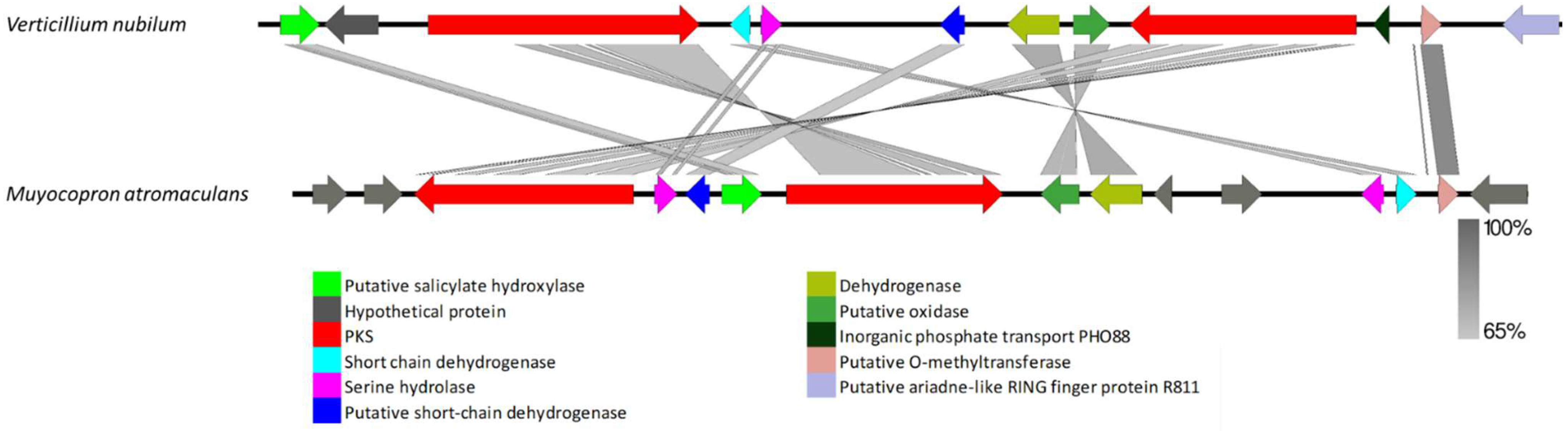 Biology 11 01252 g009