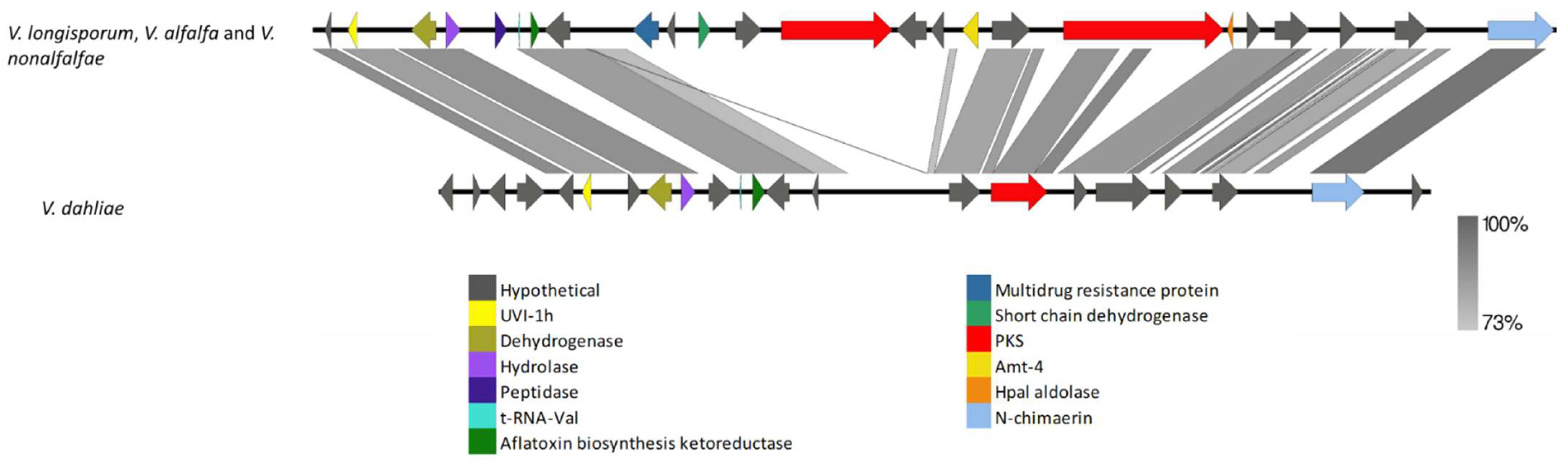 Biology 11 01252 g012