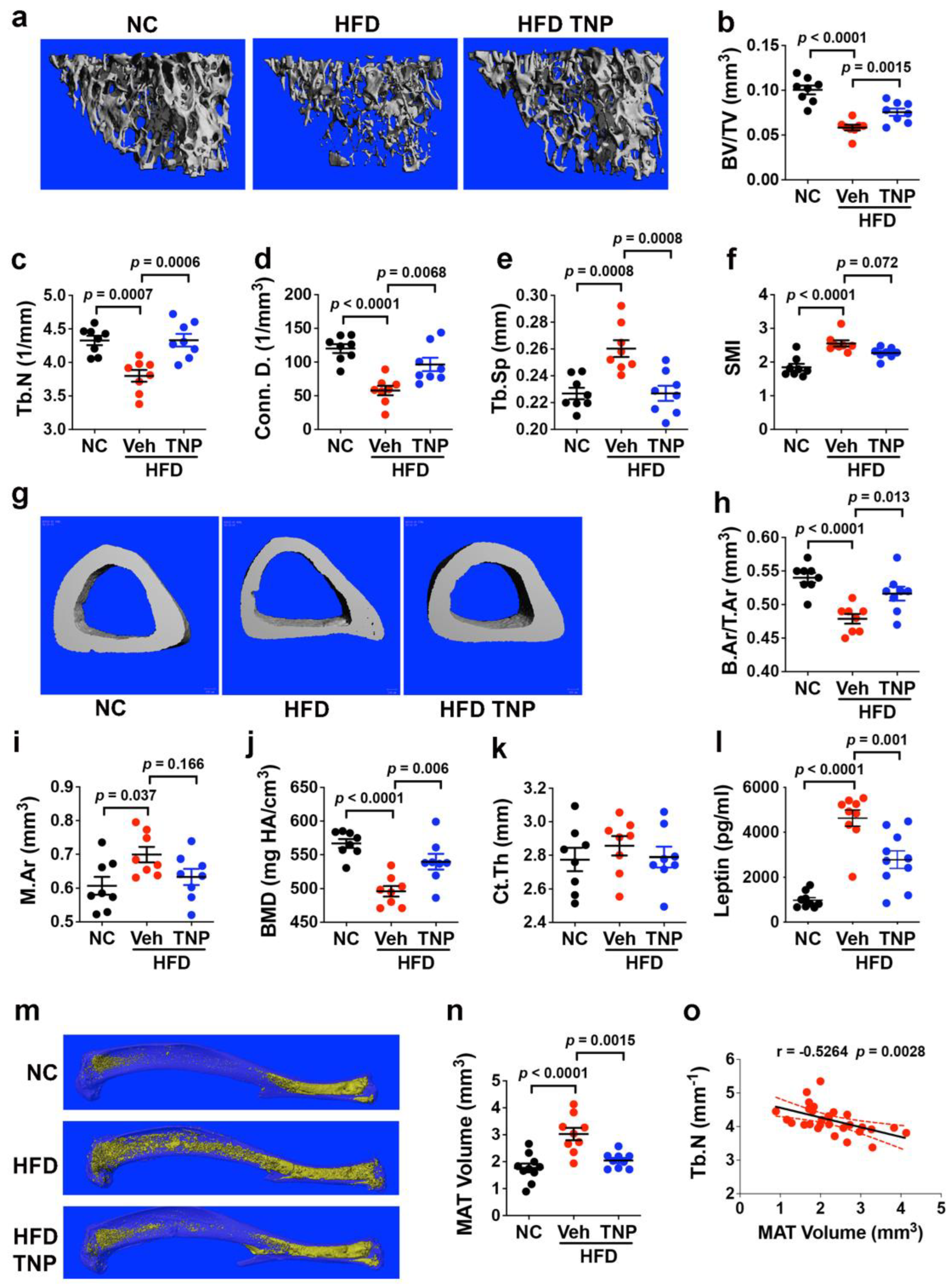 Biology 11 01257 g002
