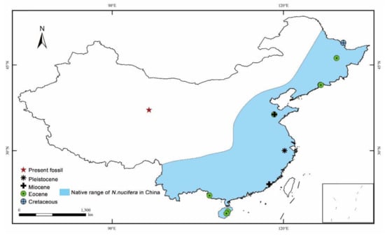 Biology 11 01261 g005