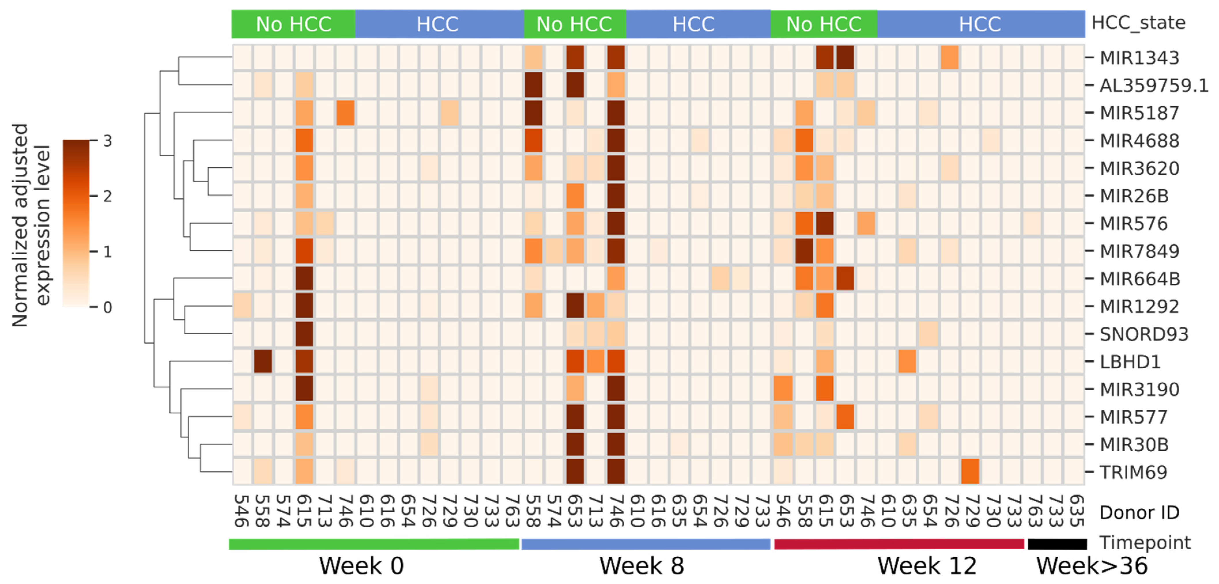 Biology 11 01262 g001 Biology 11 01262 g001