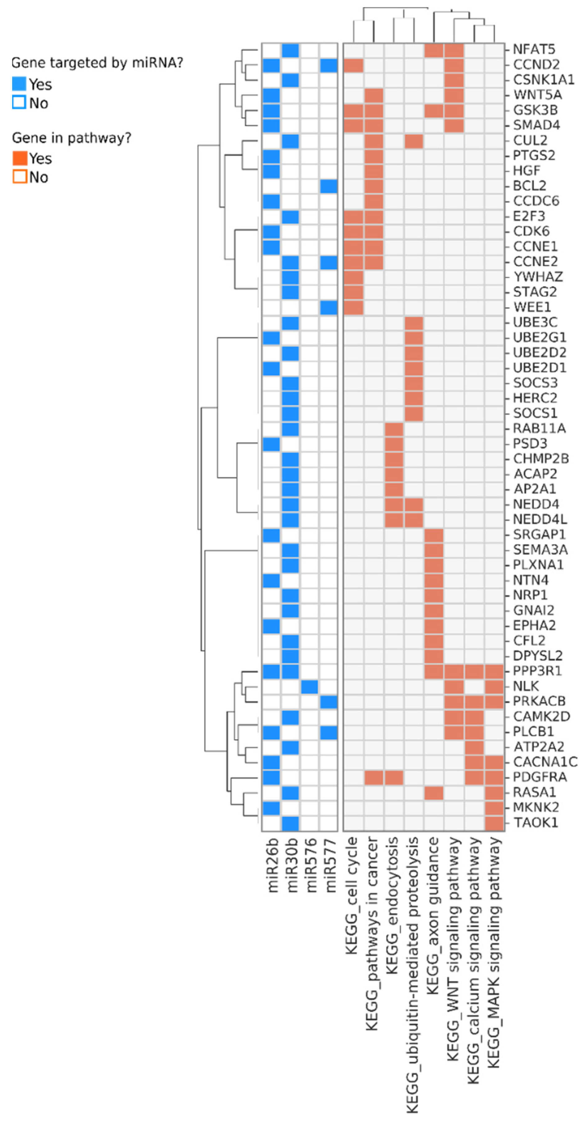 Biology 11 01262 g002 Biology 11 01262 g002