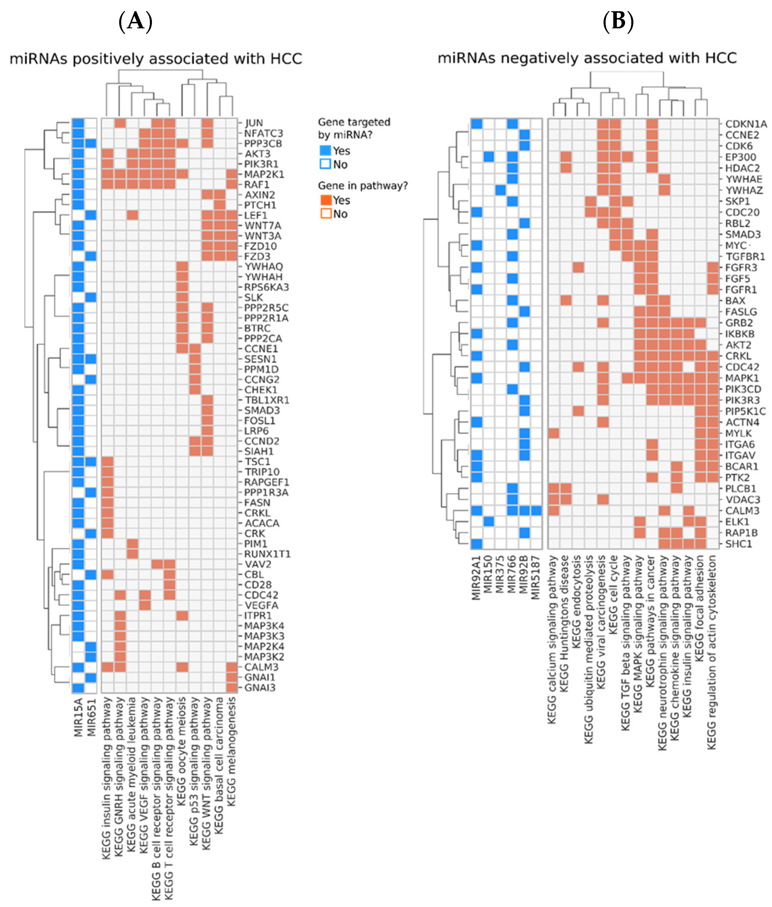 Biology 11 01262 g006 Biology 11 01262 g006