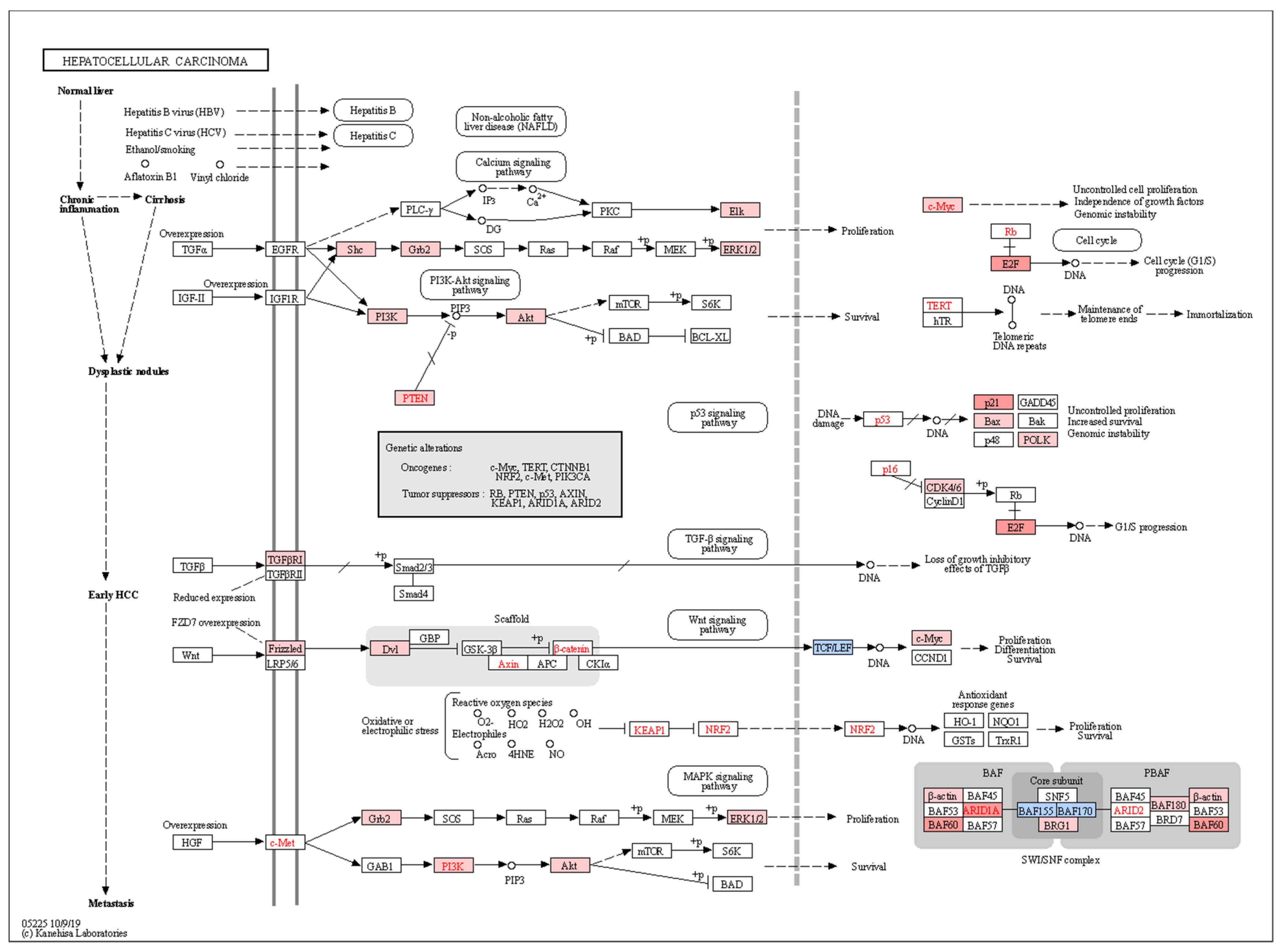 Biology 11 01262 g007 Biology 11 01262 g007