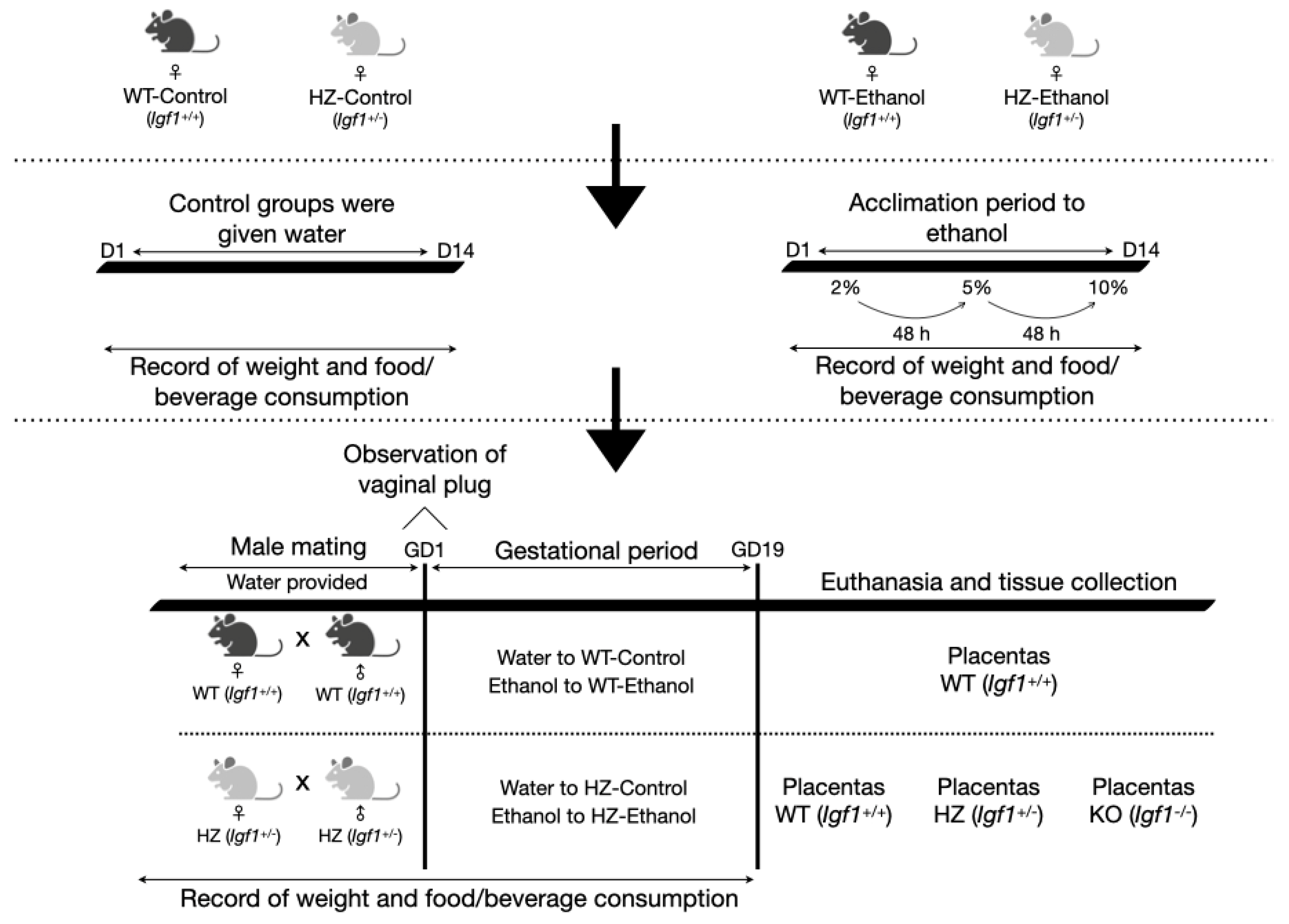 Biology 11 01264 g001 Biology 11 01264 g001