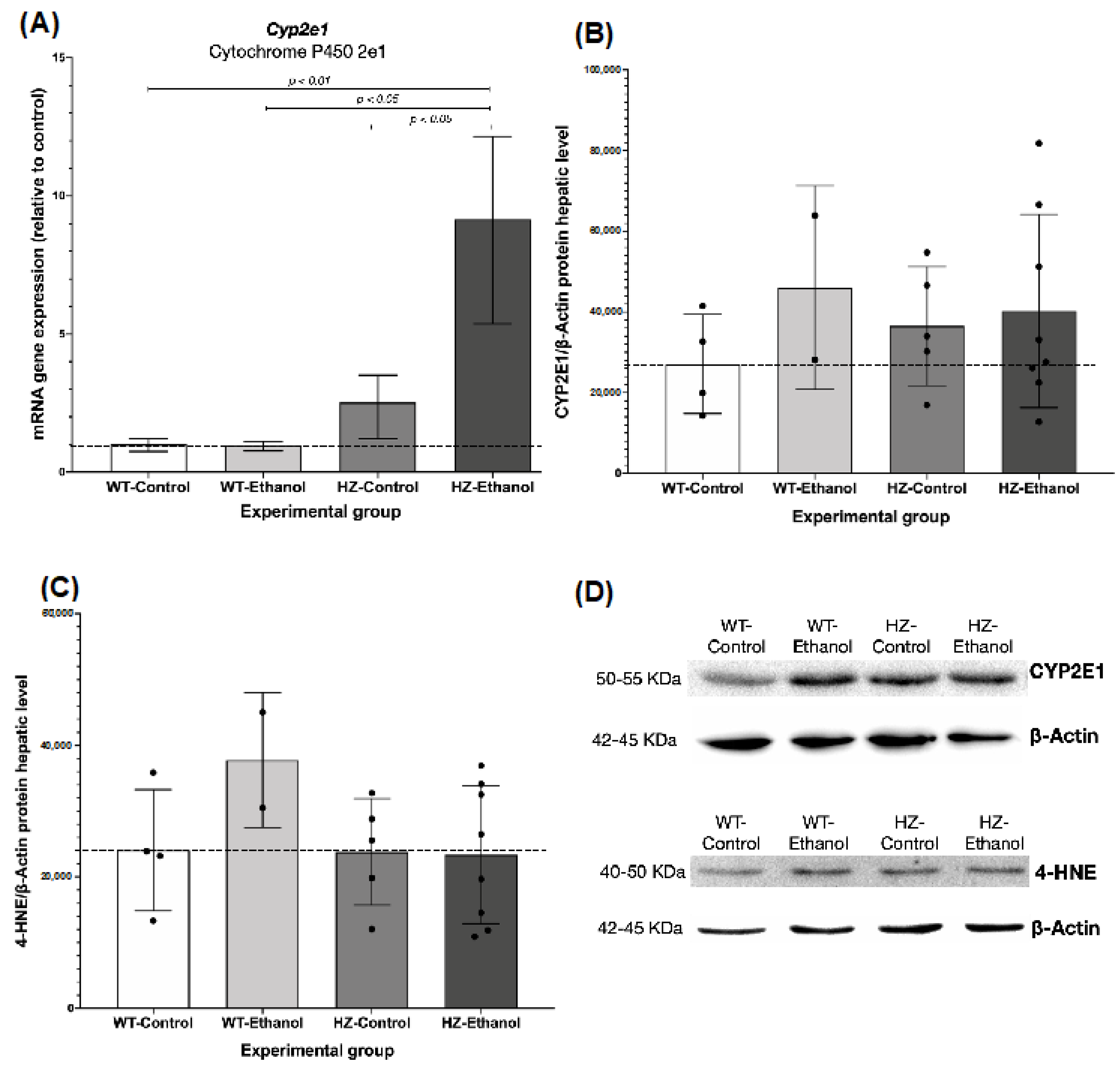 Biology 11 01264 g003 Biology 11 01264 g003