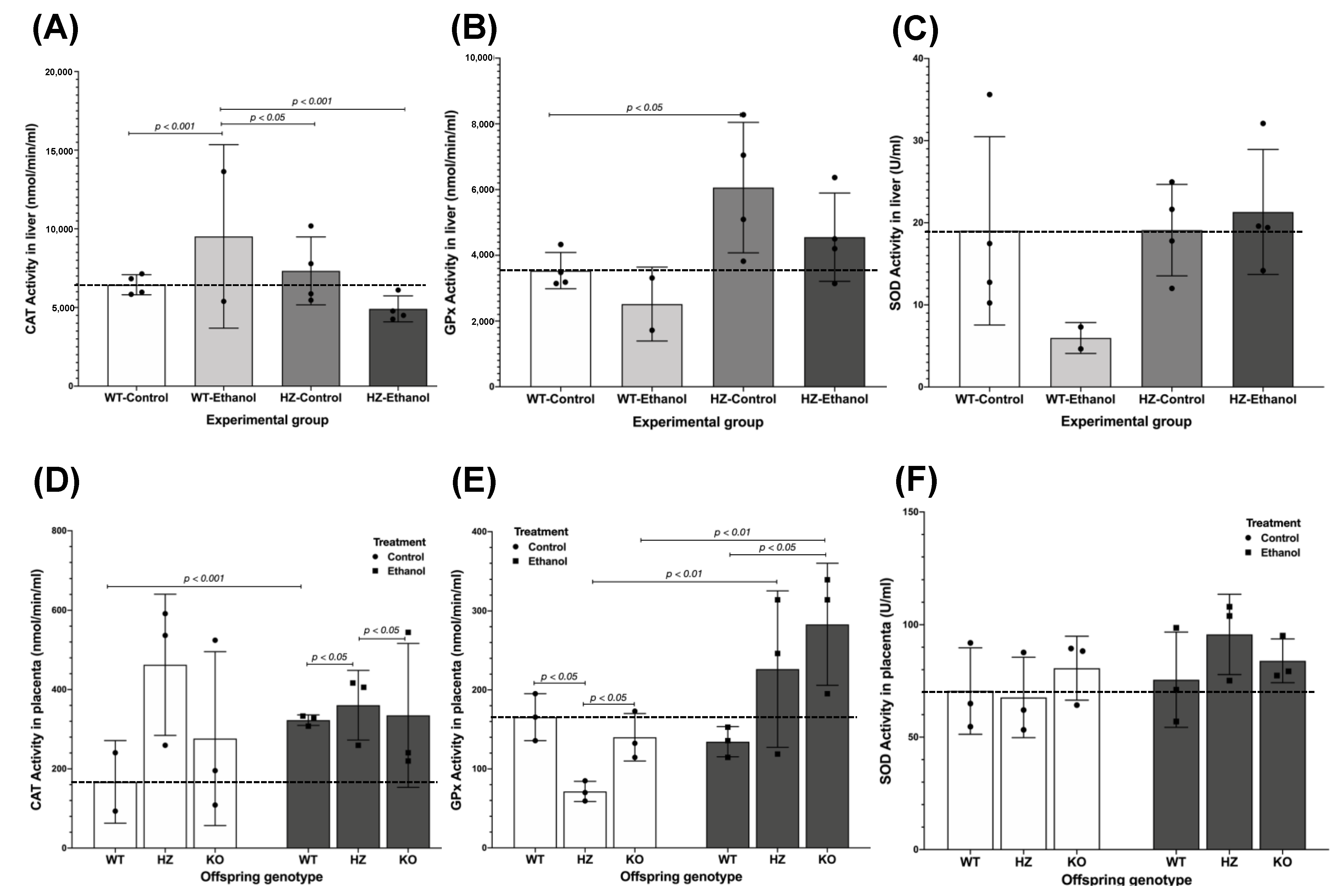 Biology 11 01264 g005 Biology 11 01264 g005