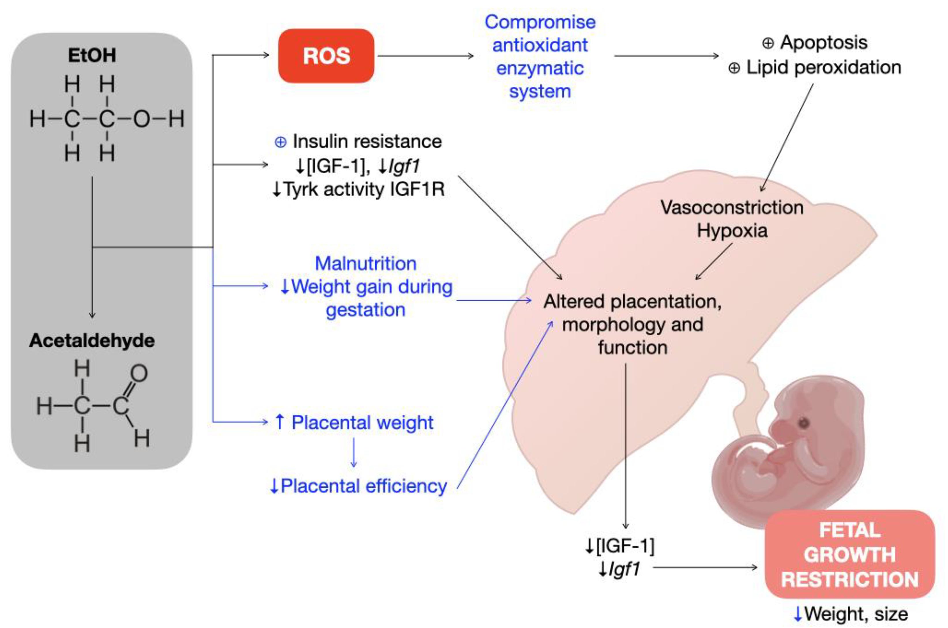 Biology 11 01264 g006 Biology 11 01264 g006