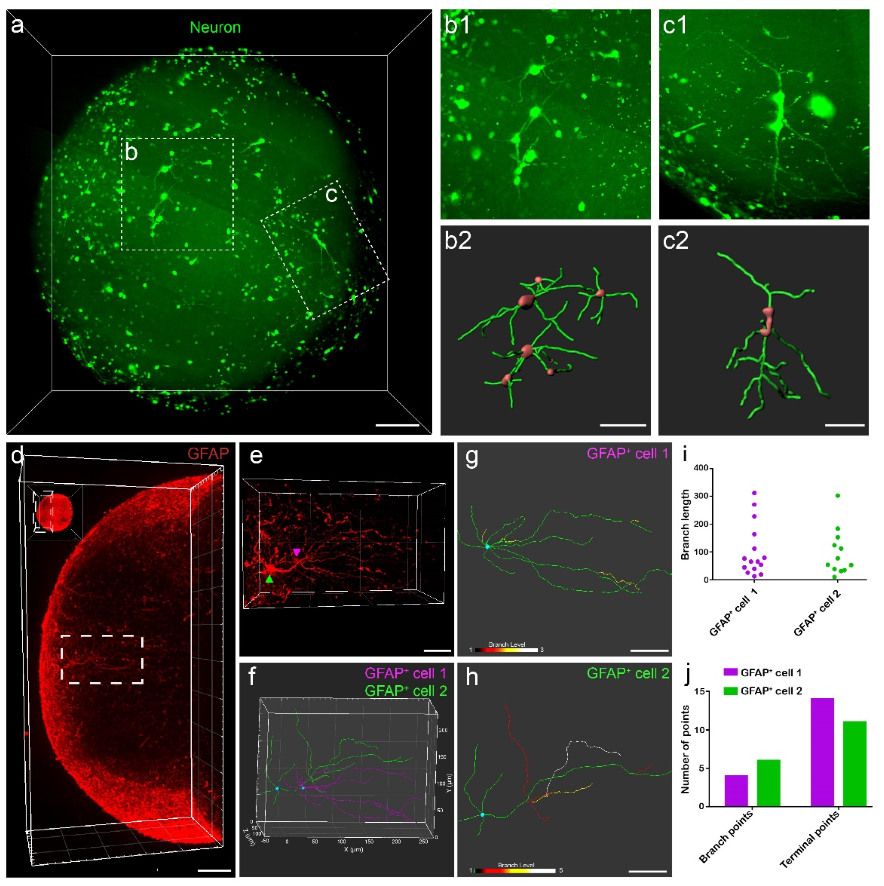 Biology 11 01270 g004
