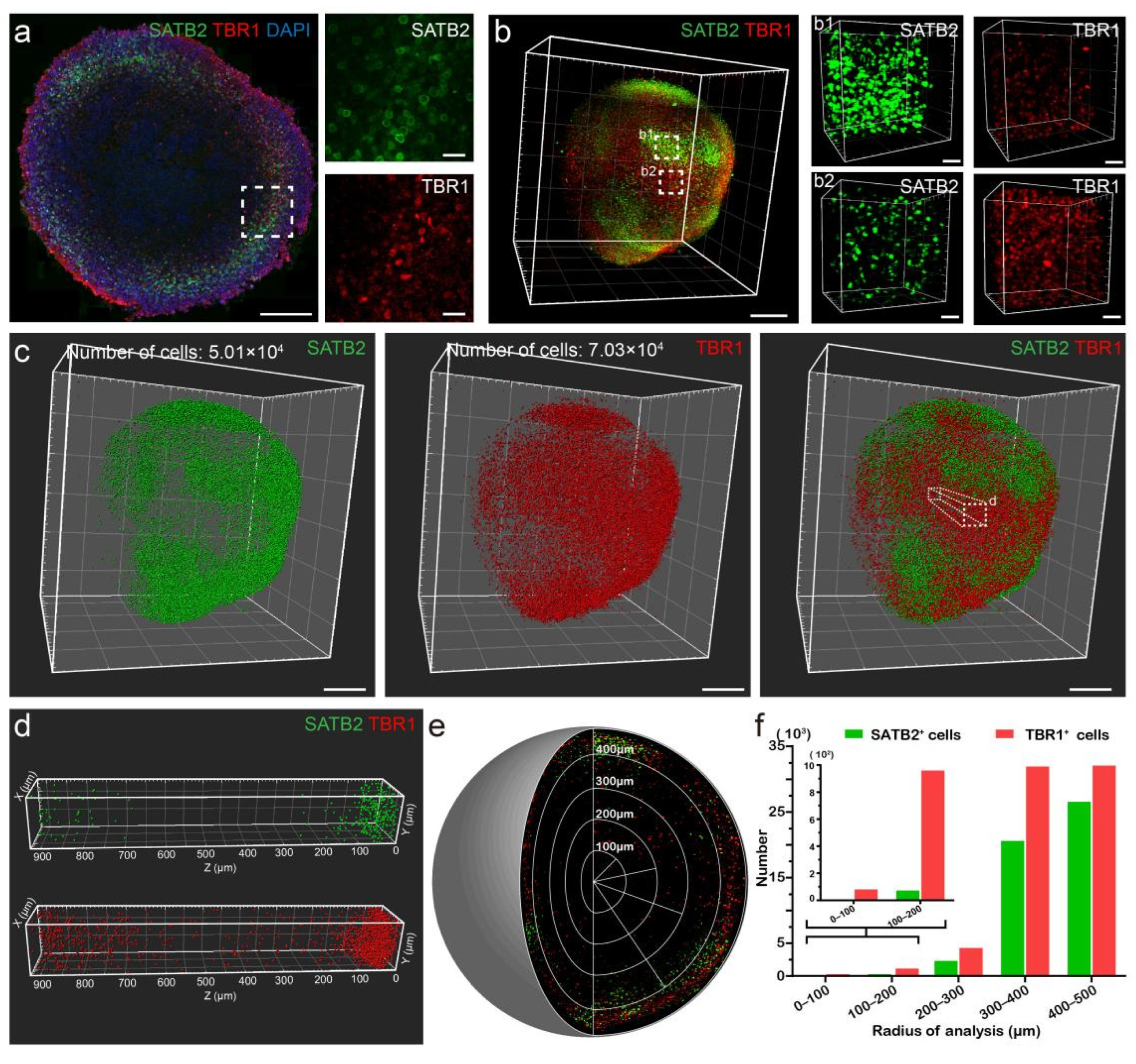Biology 11 01270 g005