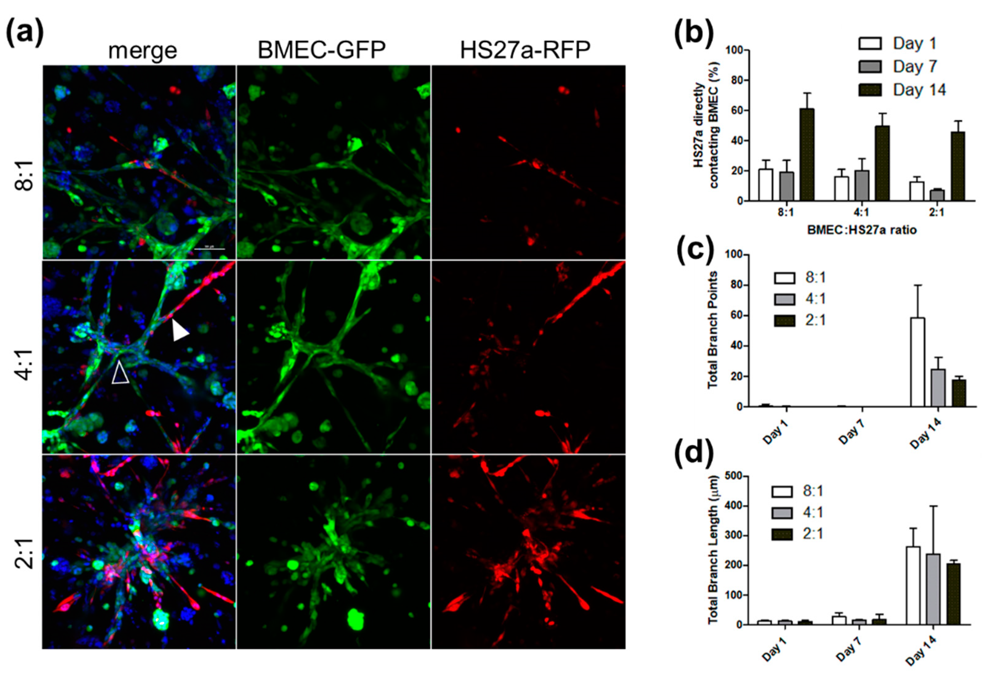 Biology 11 01271 g001 Biology 11 01271 g001