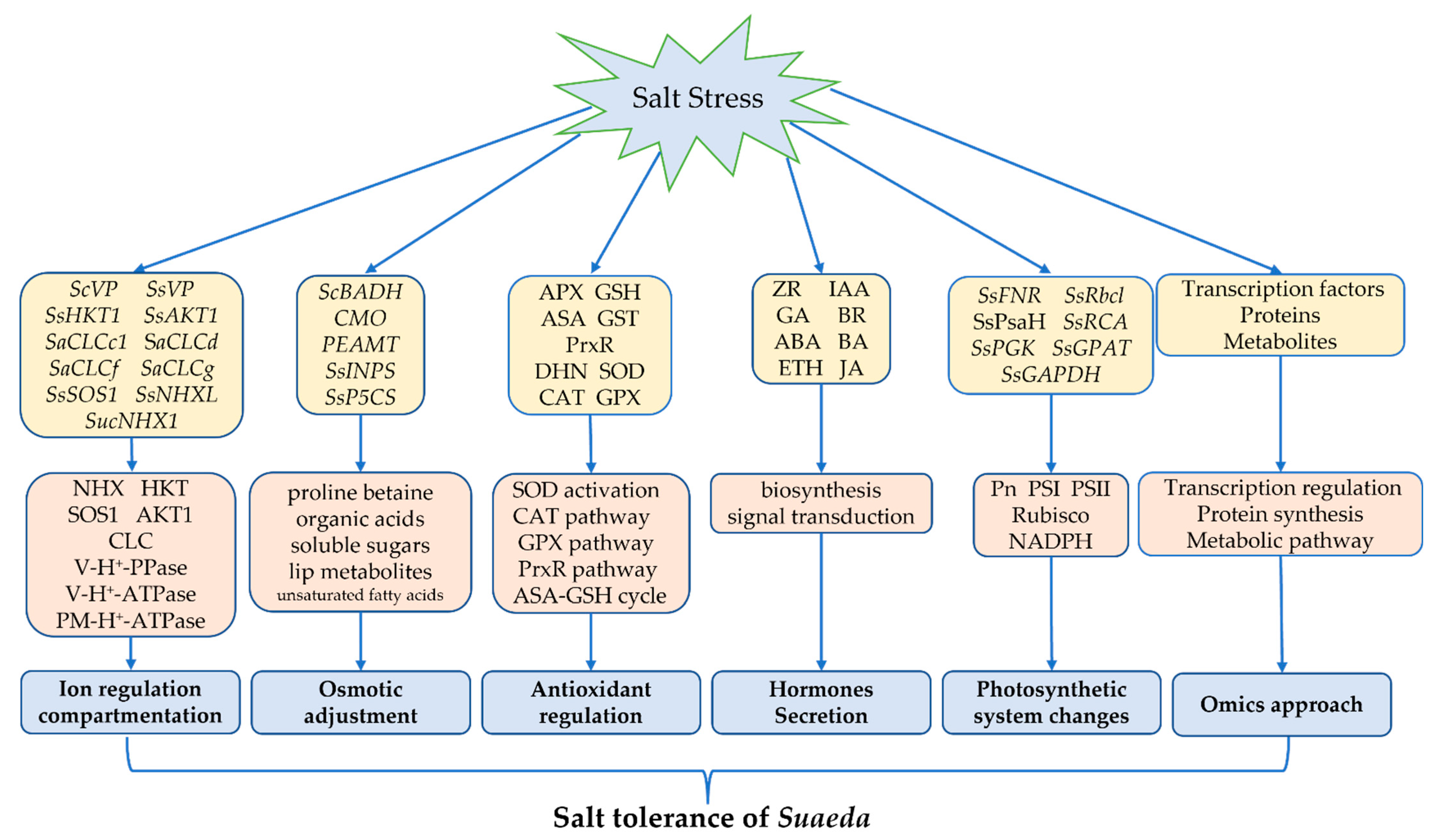 Biology 11 01273 g002