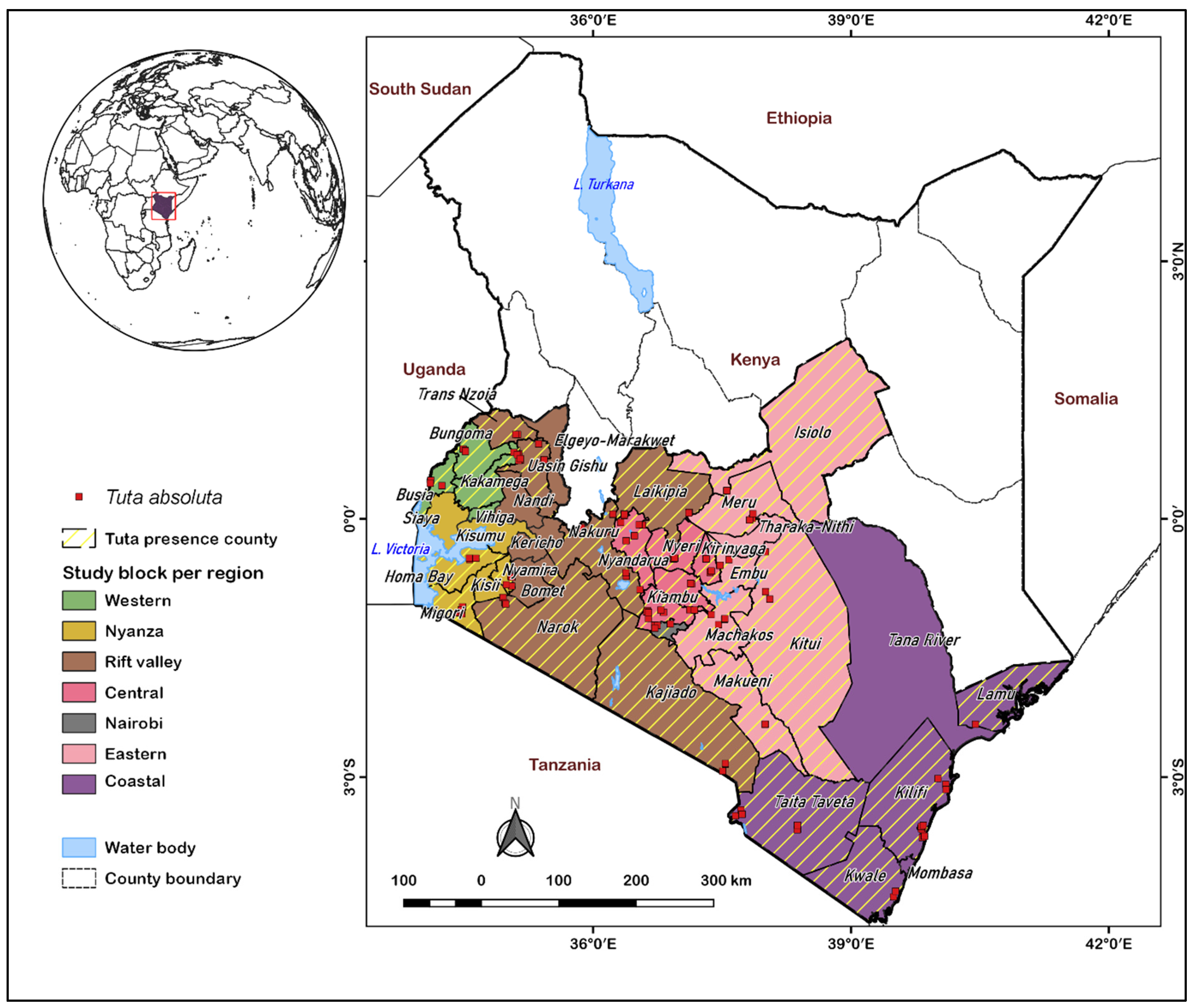 Biology 11 01280 g001