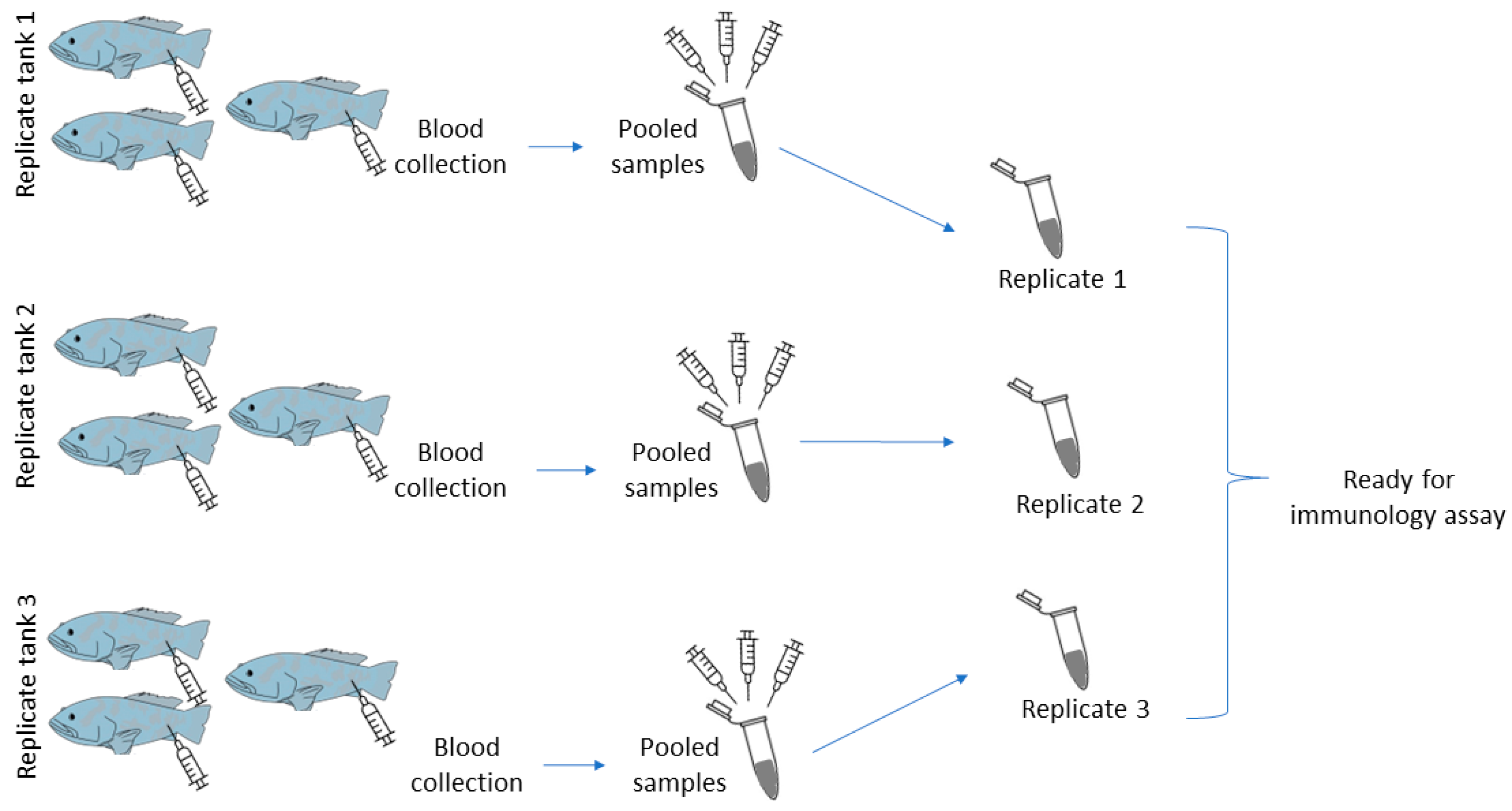 Biology 11 01288 g001