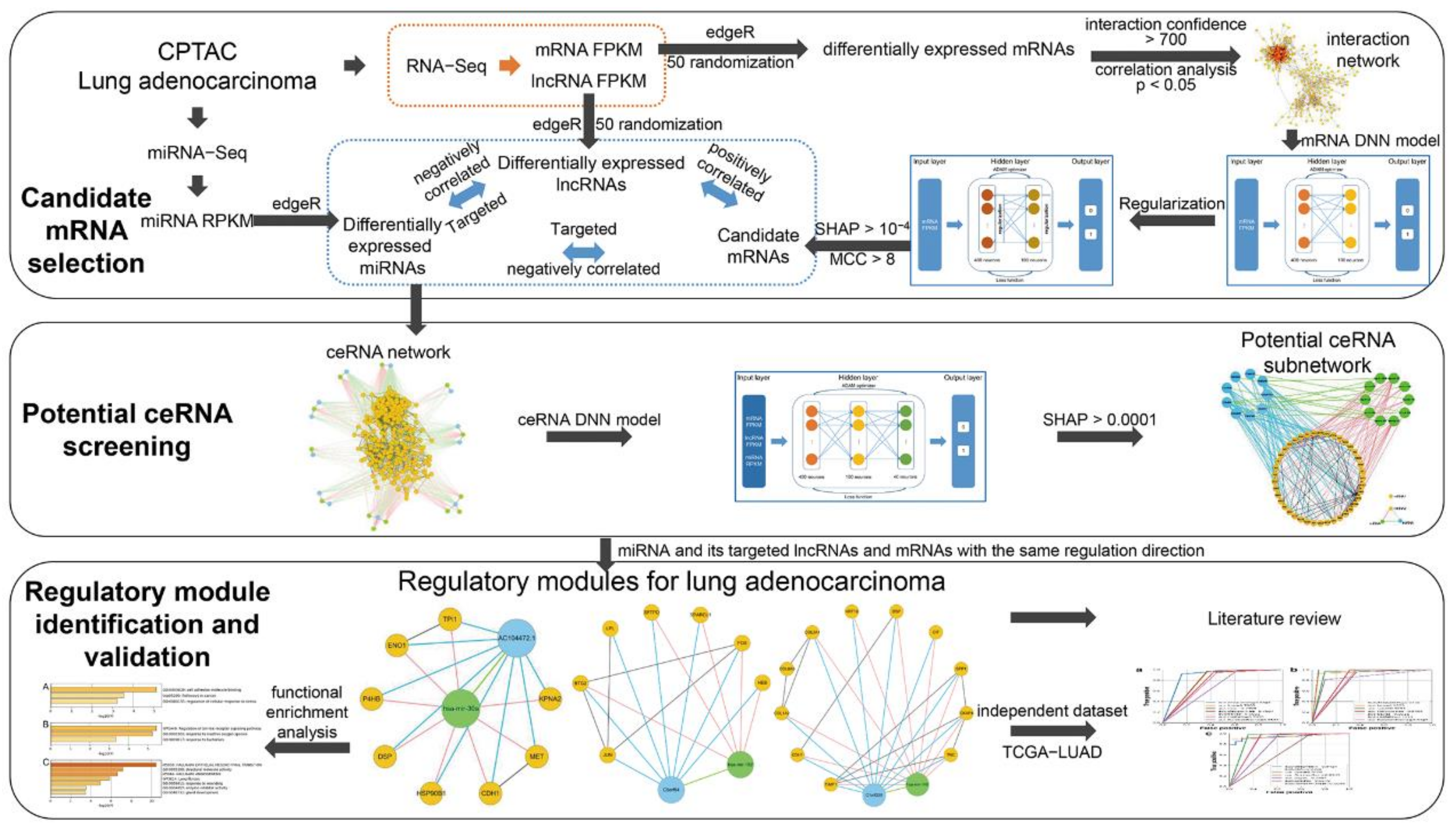 Biology 11 01291 g001