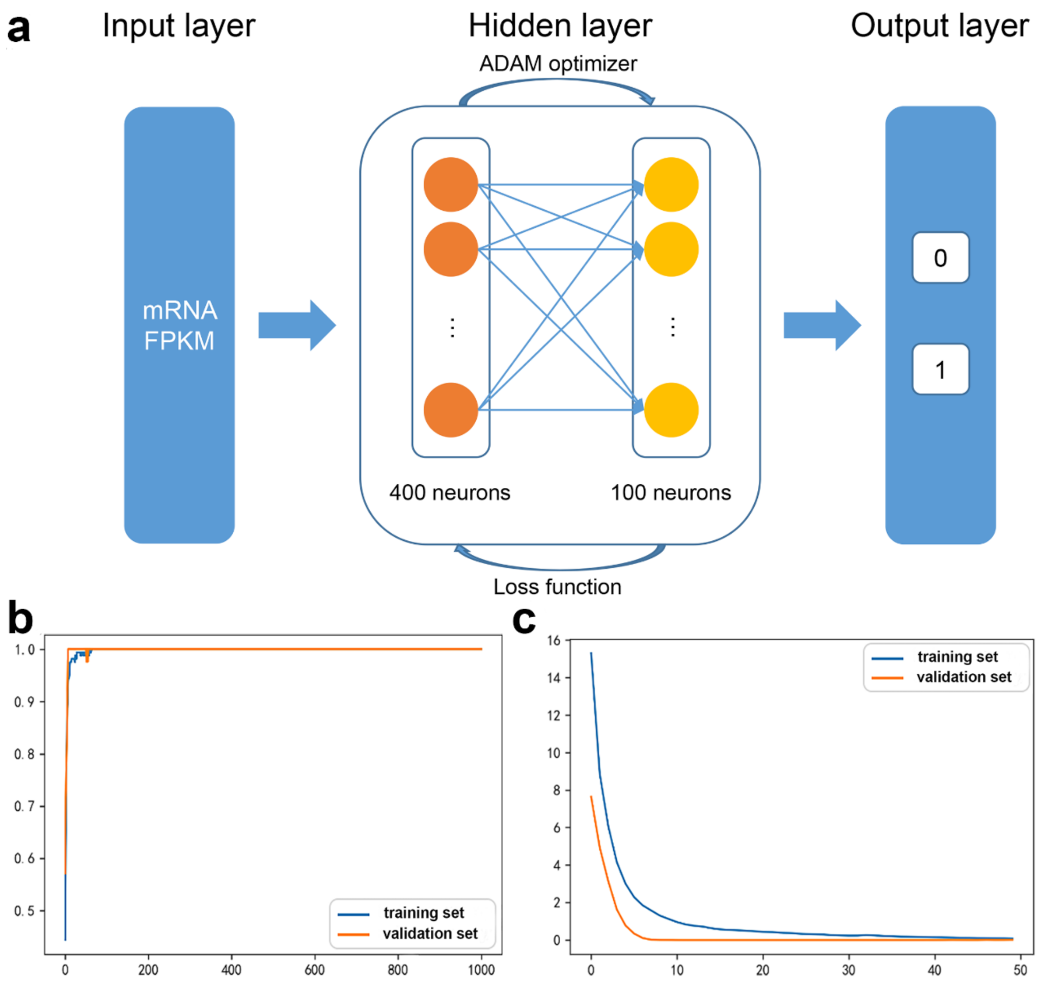 Biology 11 01291 g002