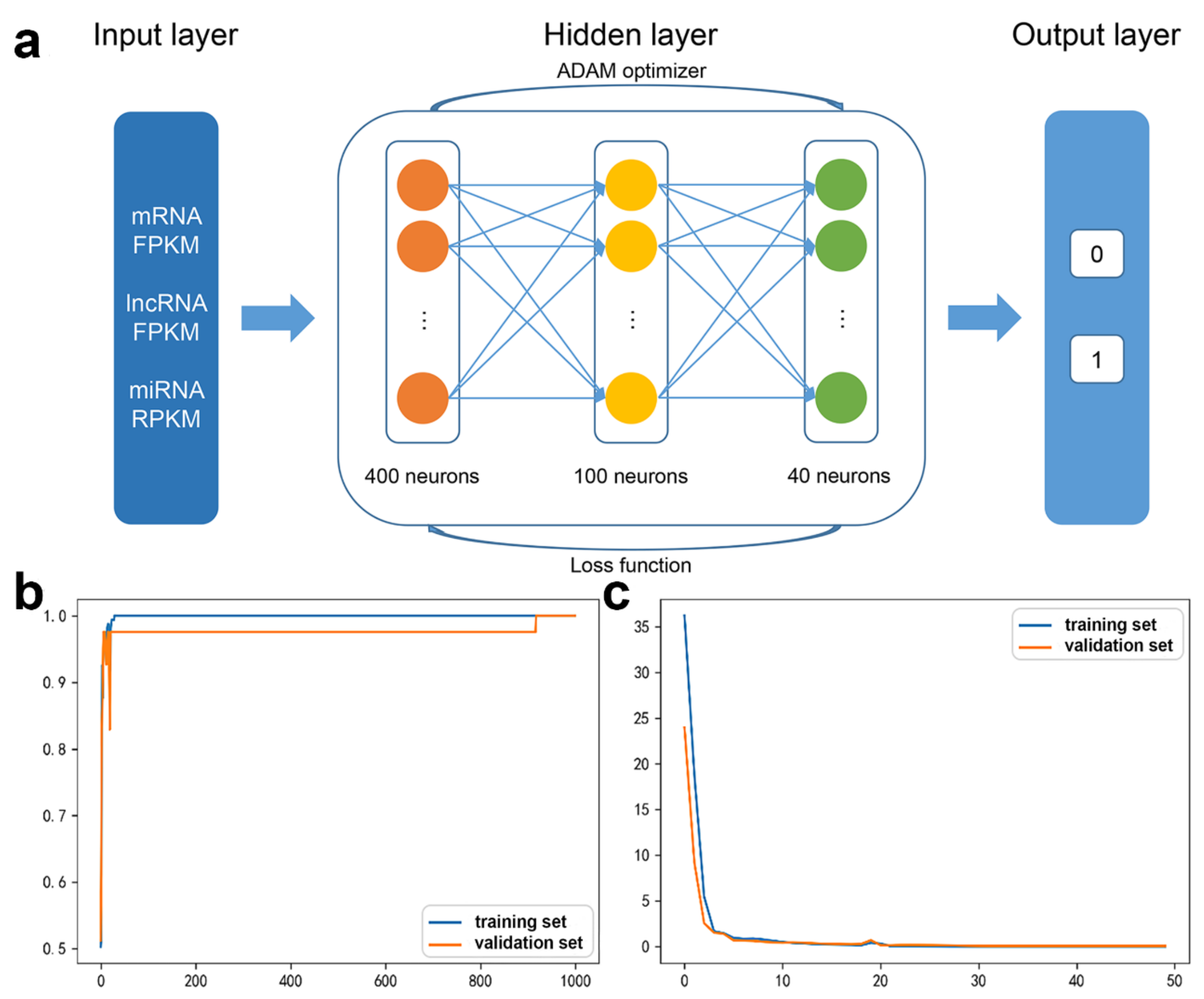 Biology 11 01291 g006