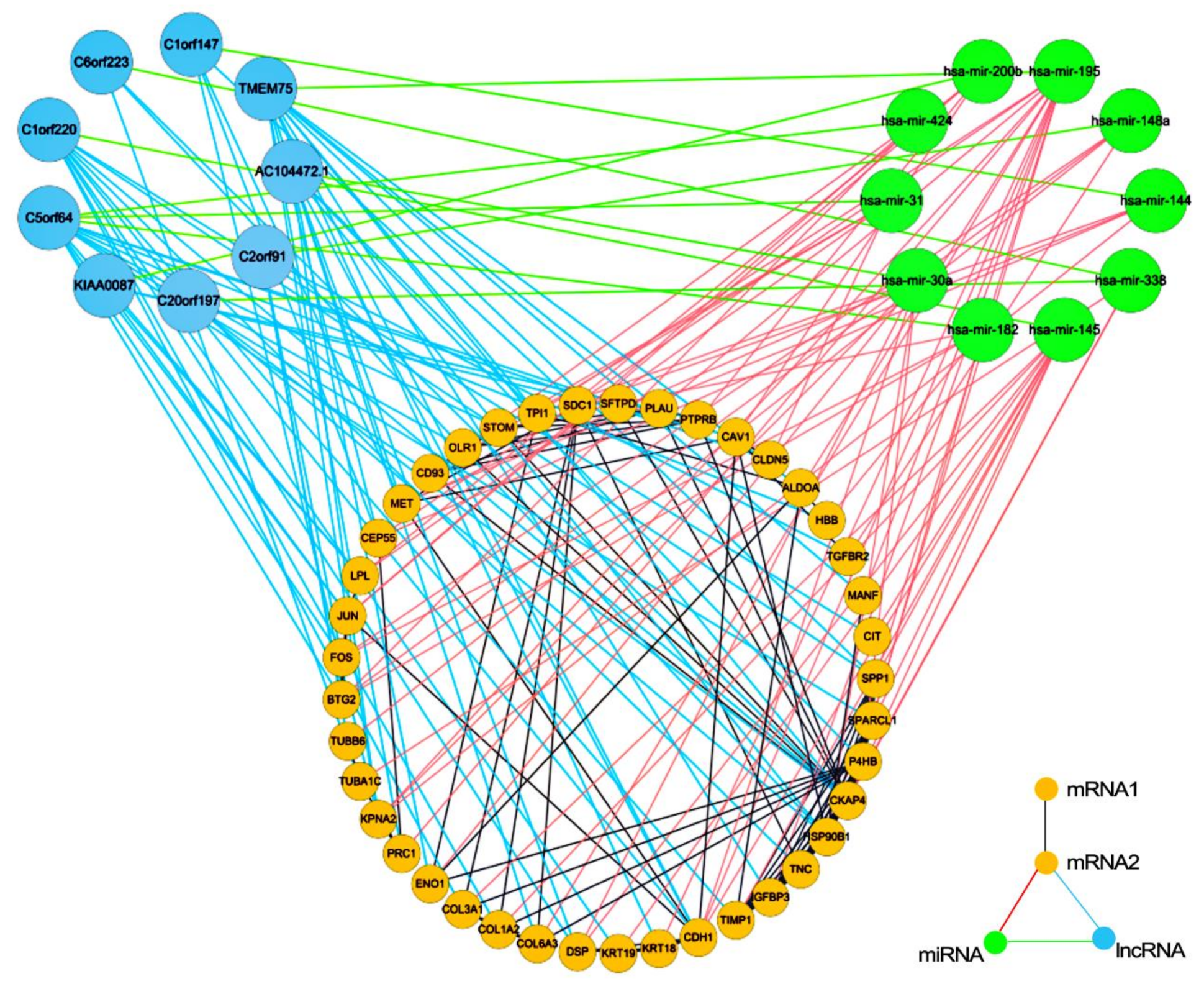 Biology 11 01291 g008